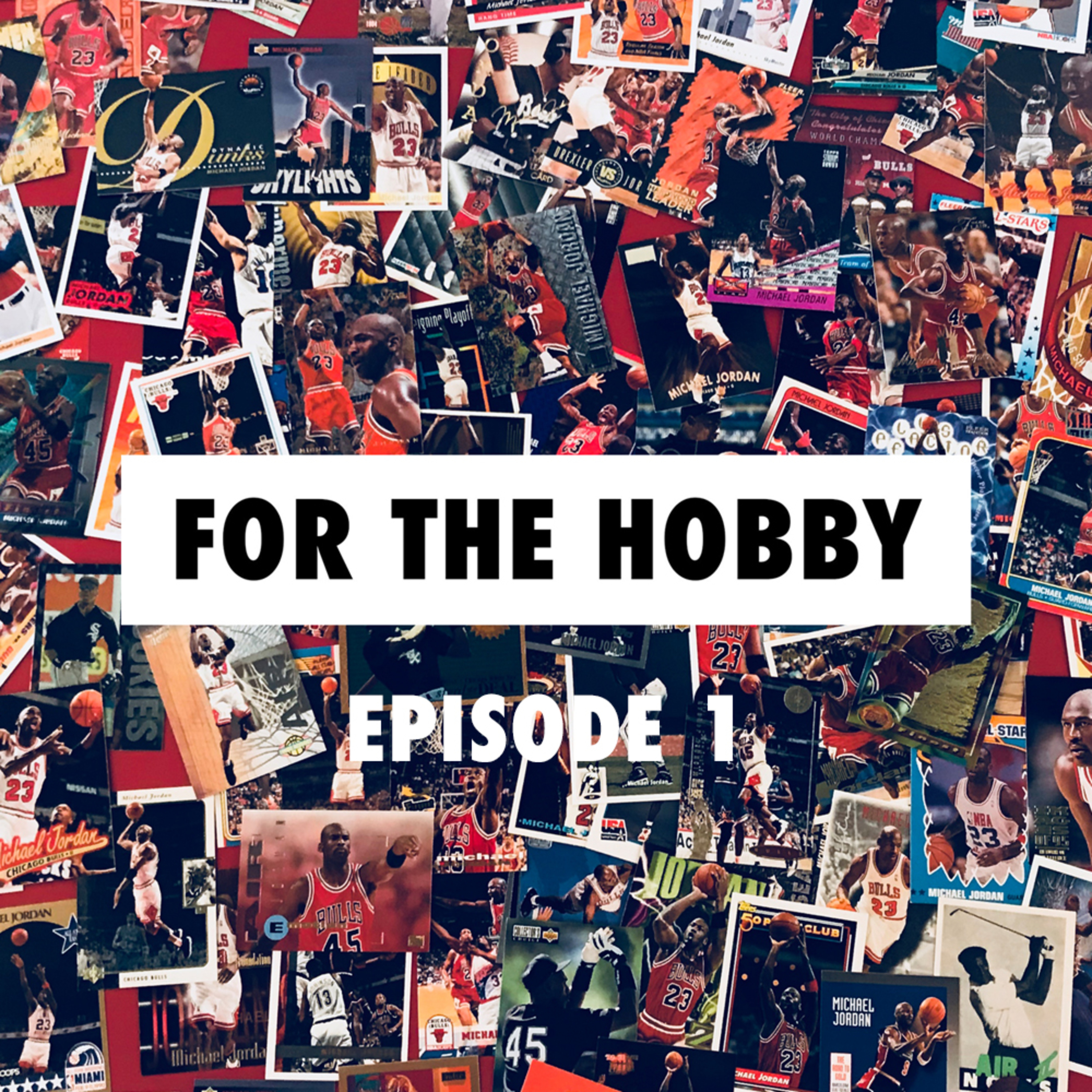 For the Hobby