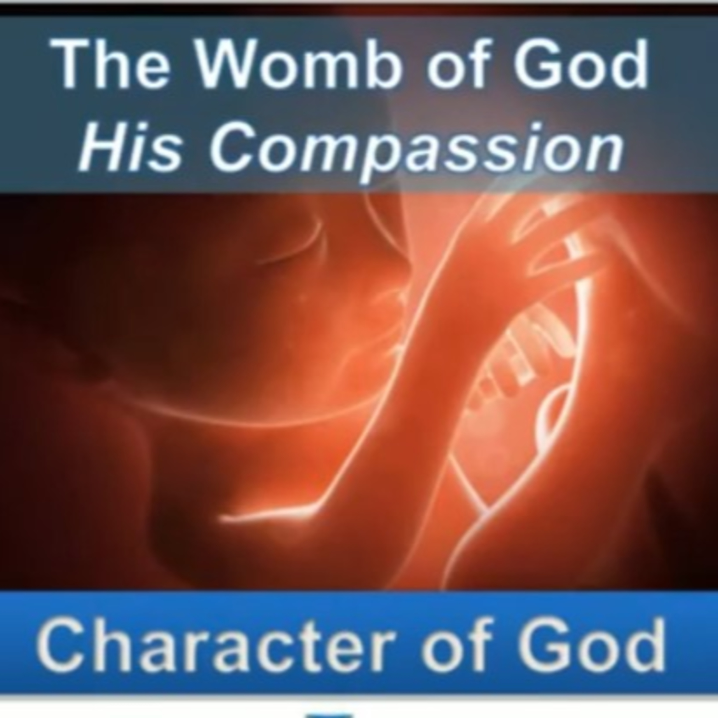 The Womb of God - God's Compassion - God's Character Series episode artwork