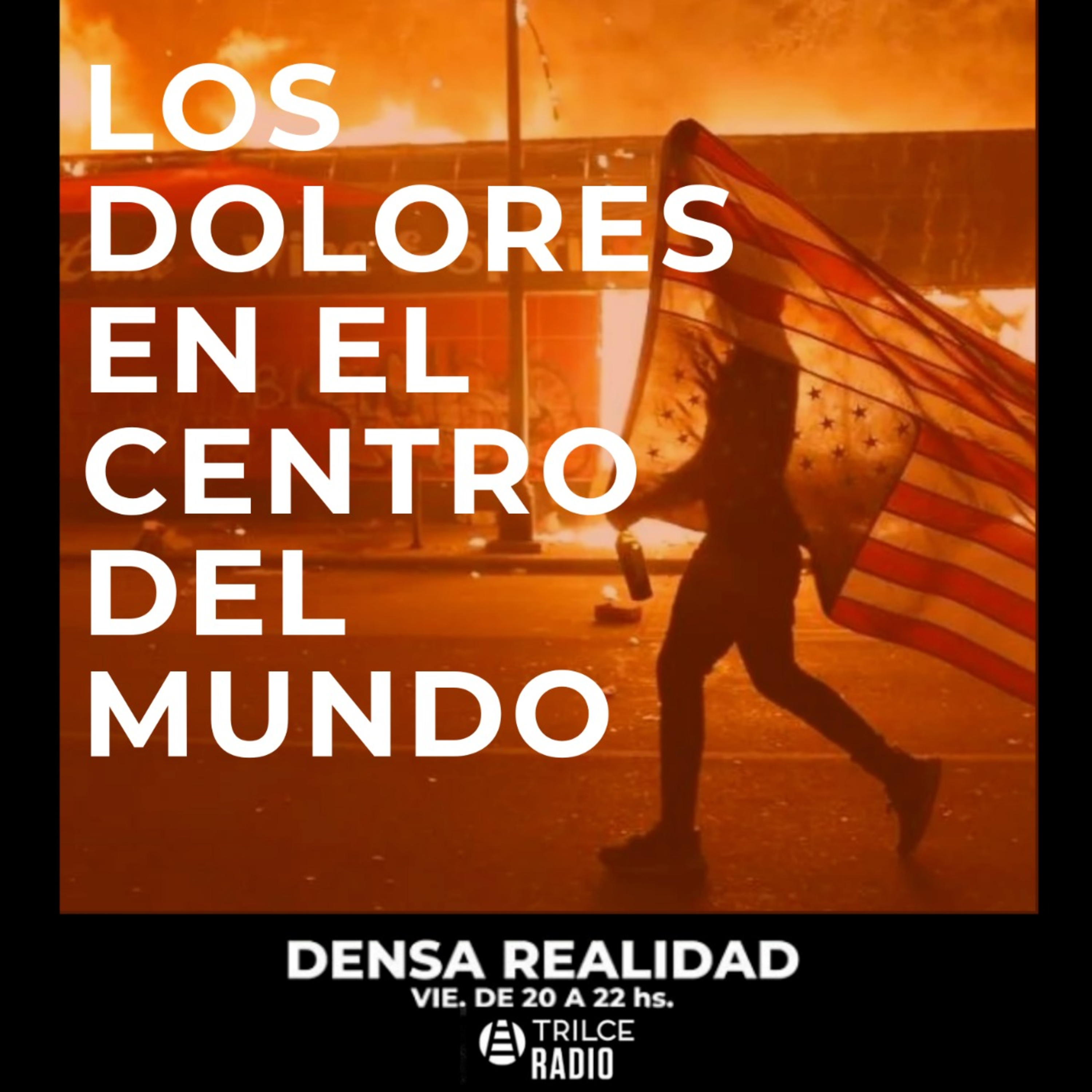 Densa Realidad