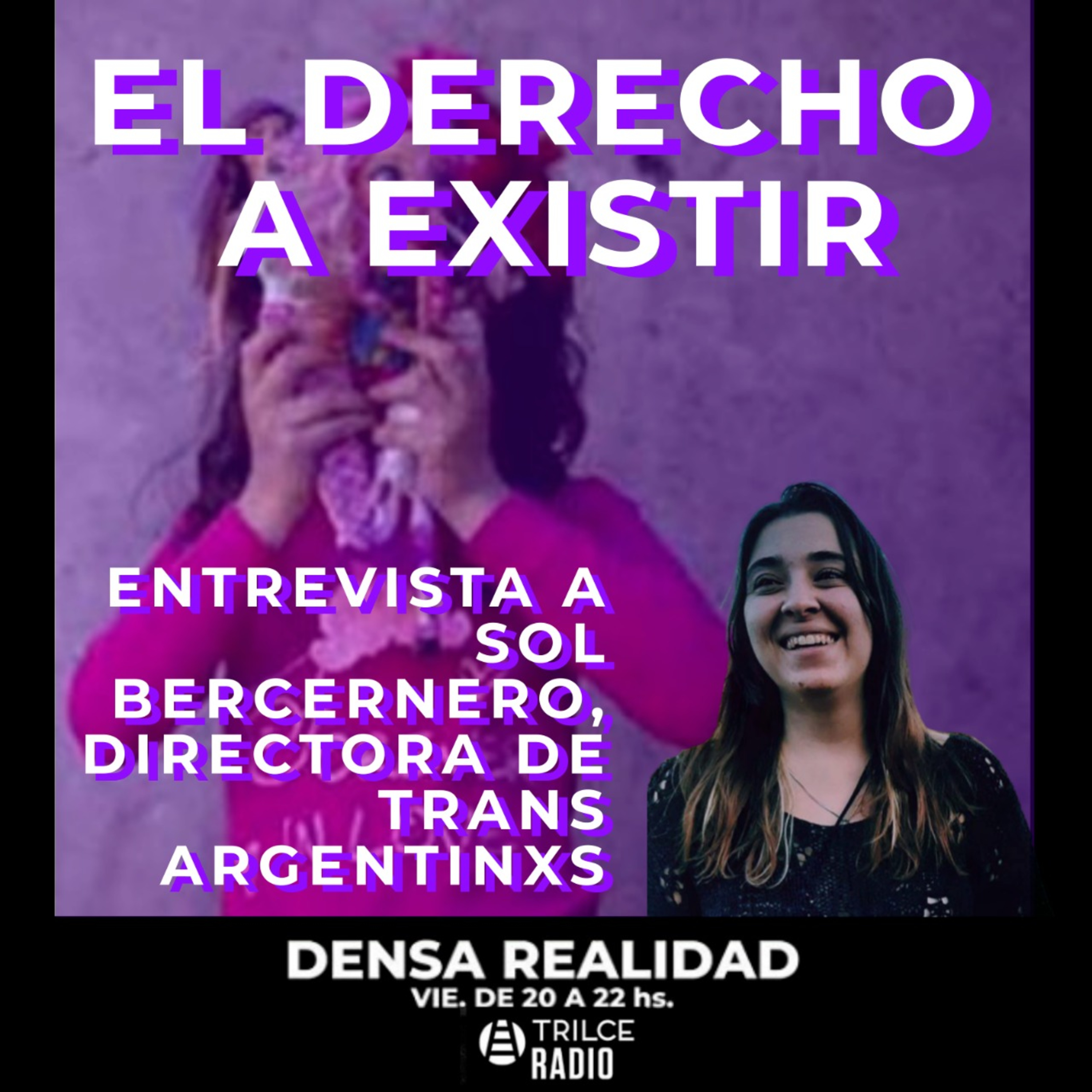 Densa Realidad