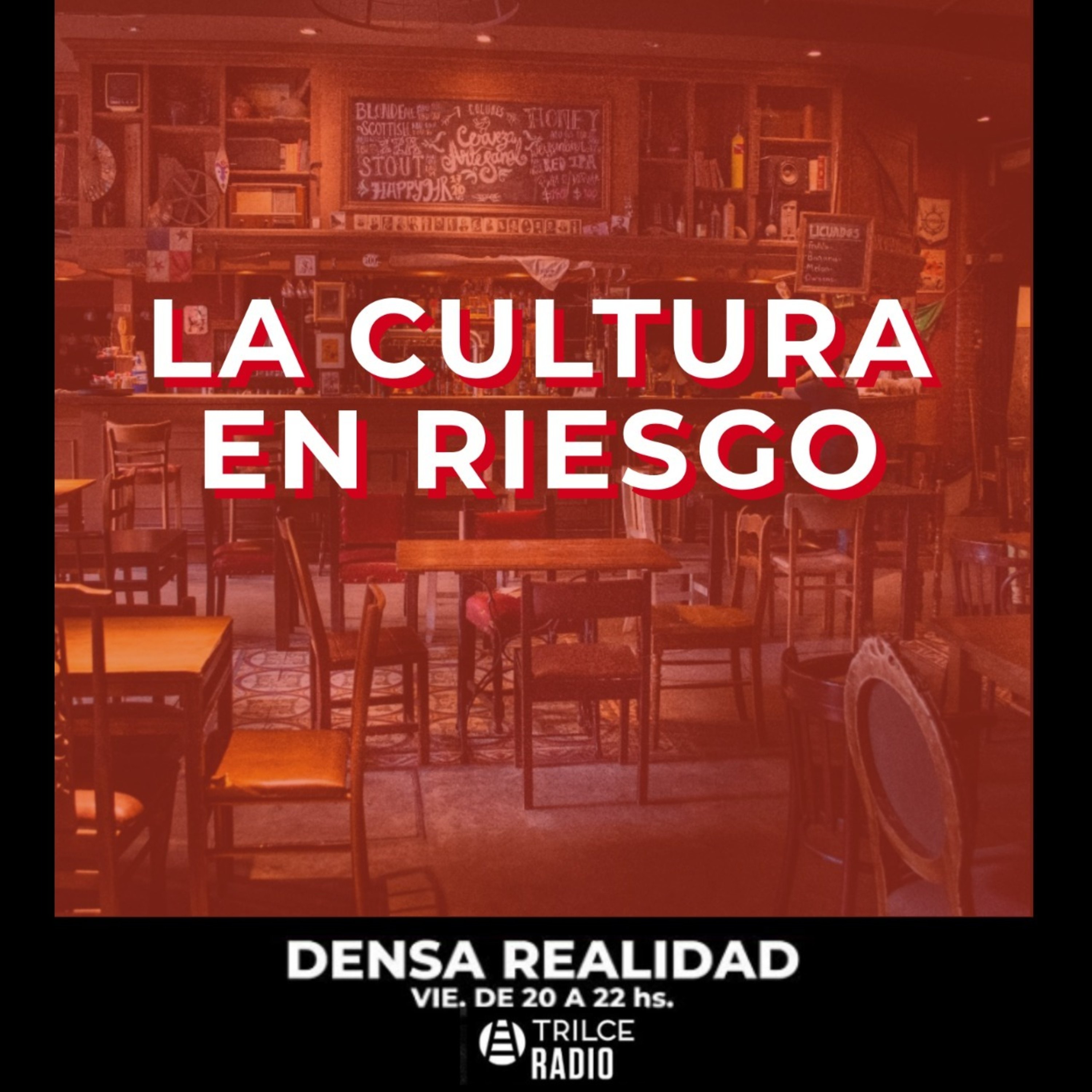 Densa Realidad