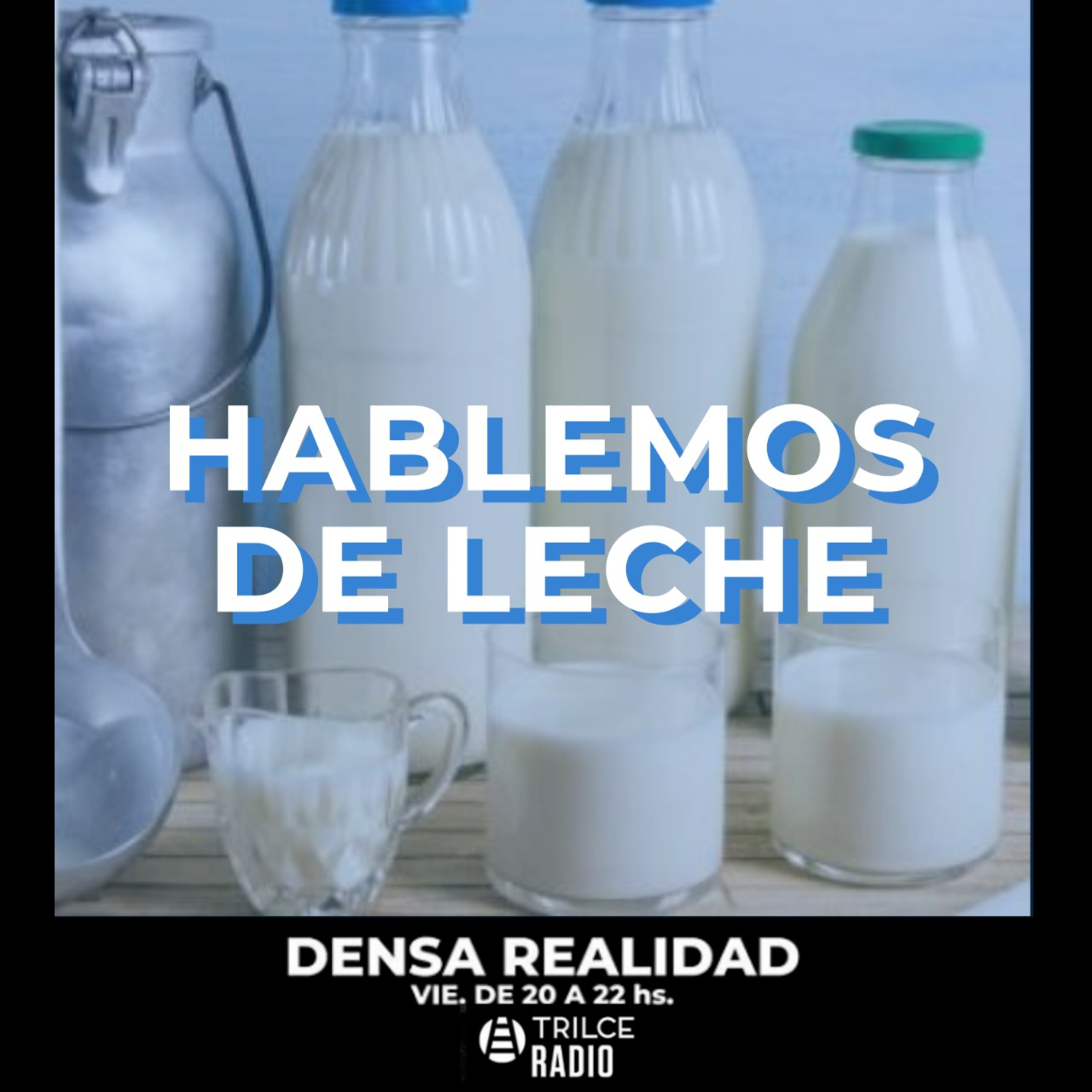Densa Realidad