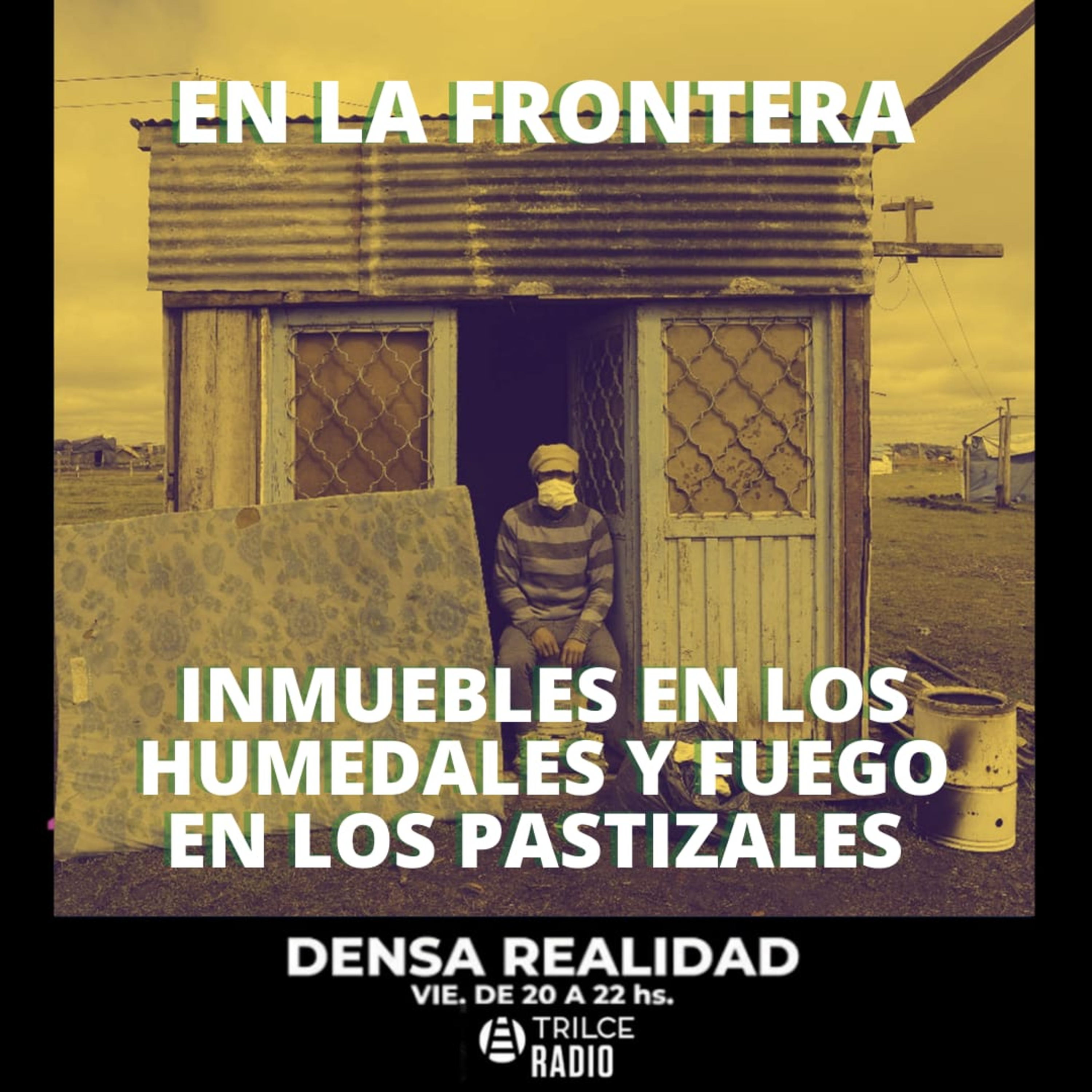 Densa Realidad