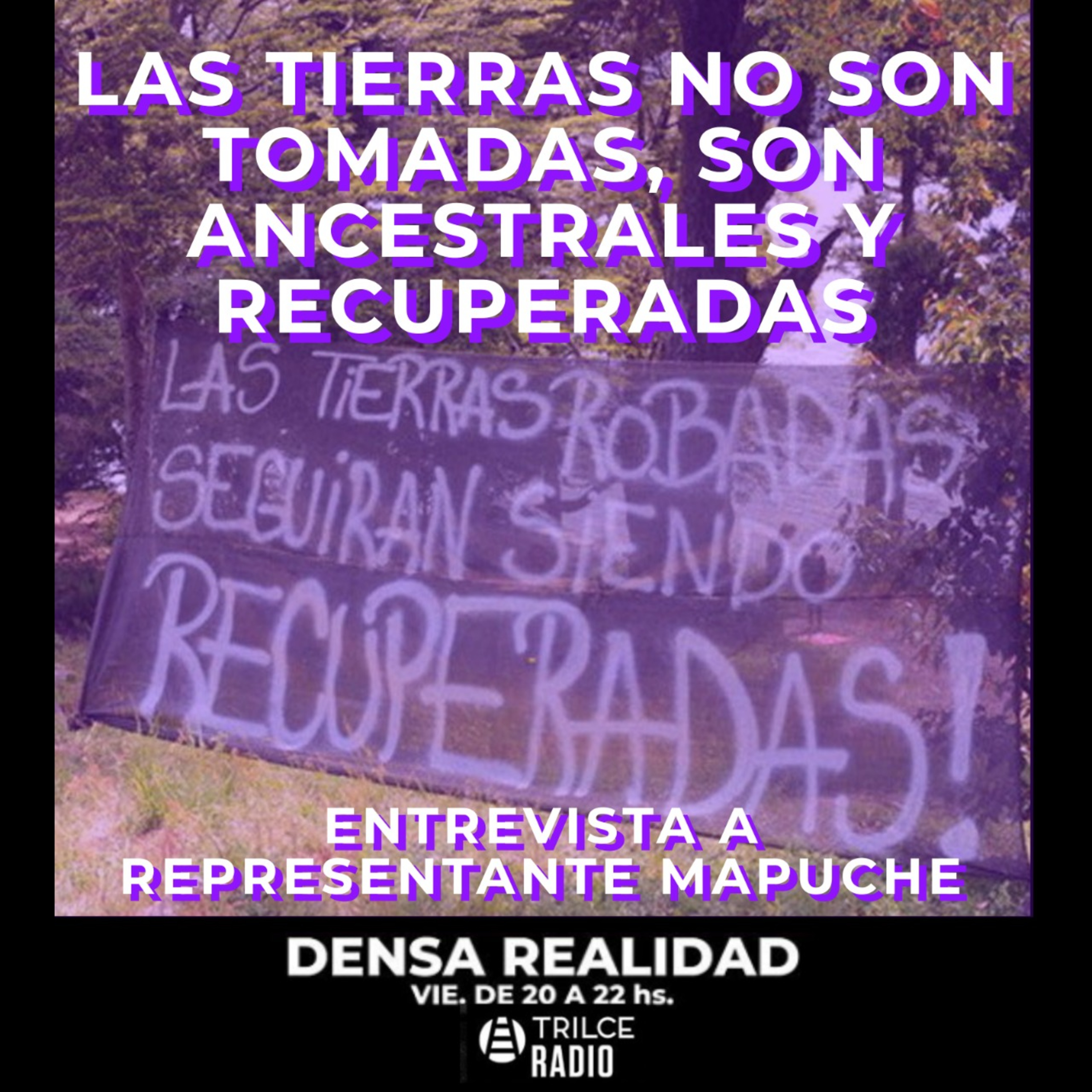Densa Realidad