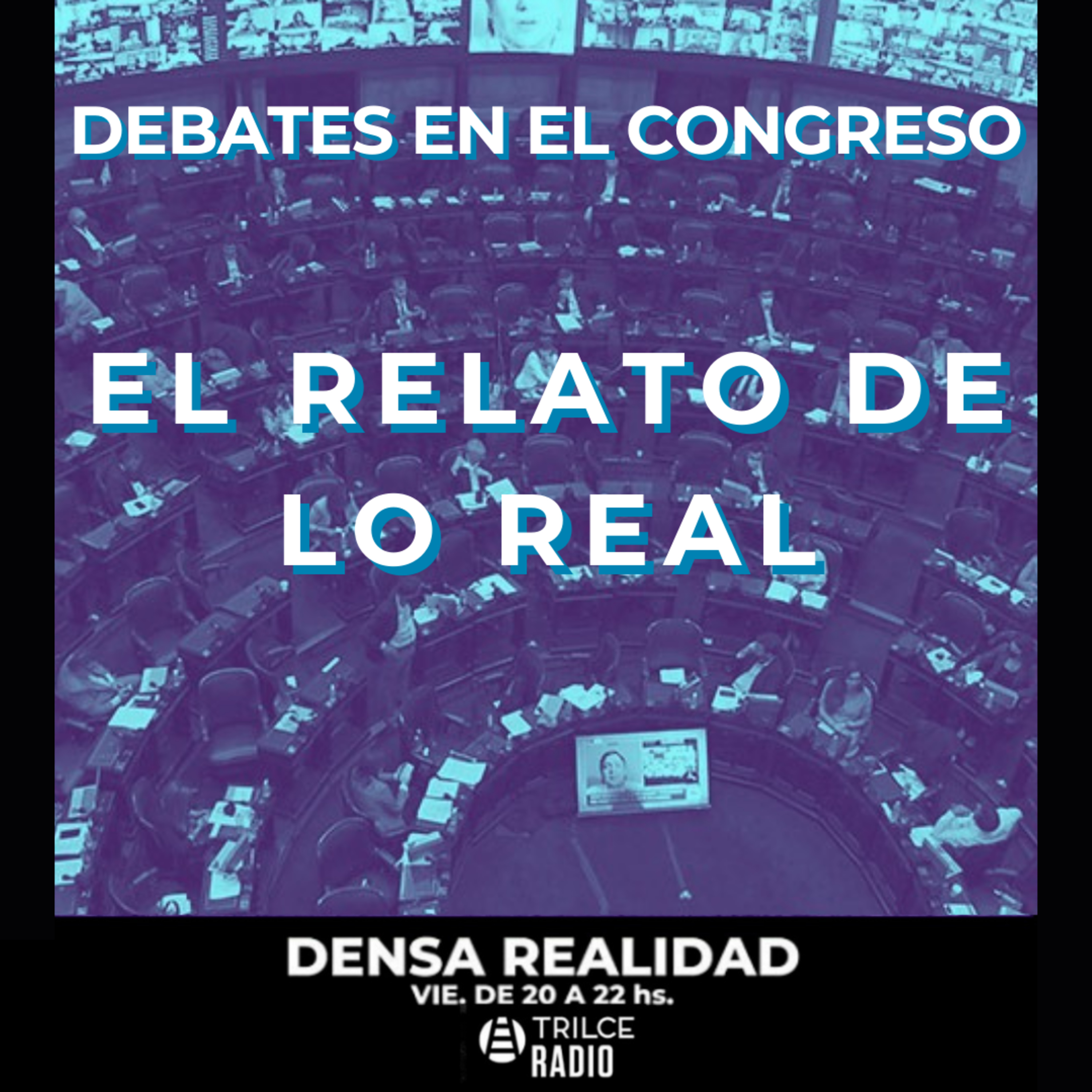 Densa Realidad