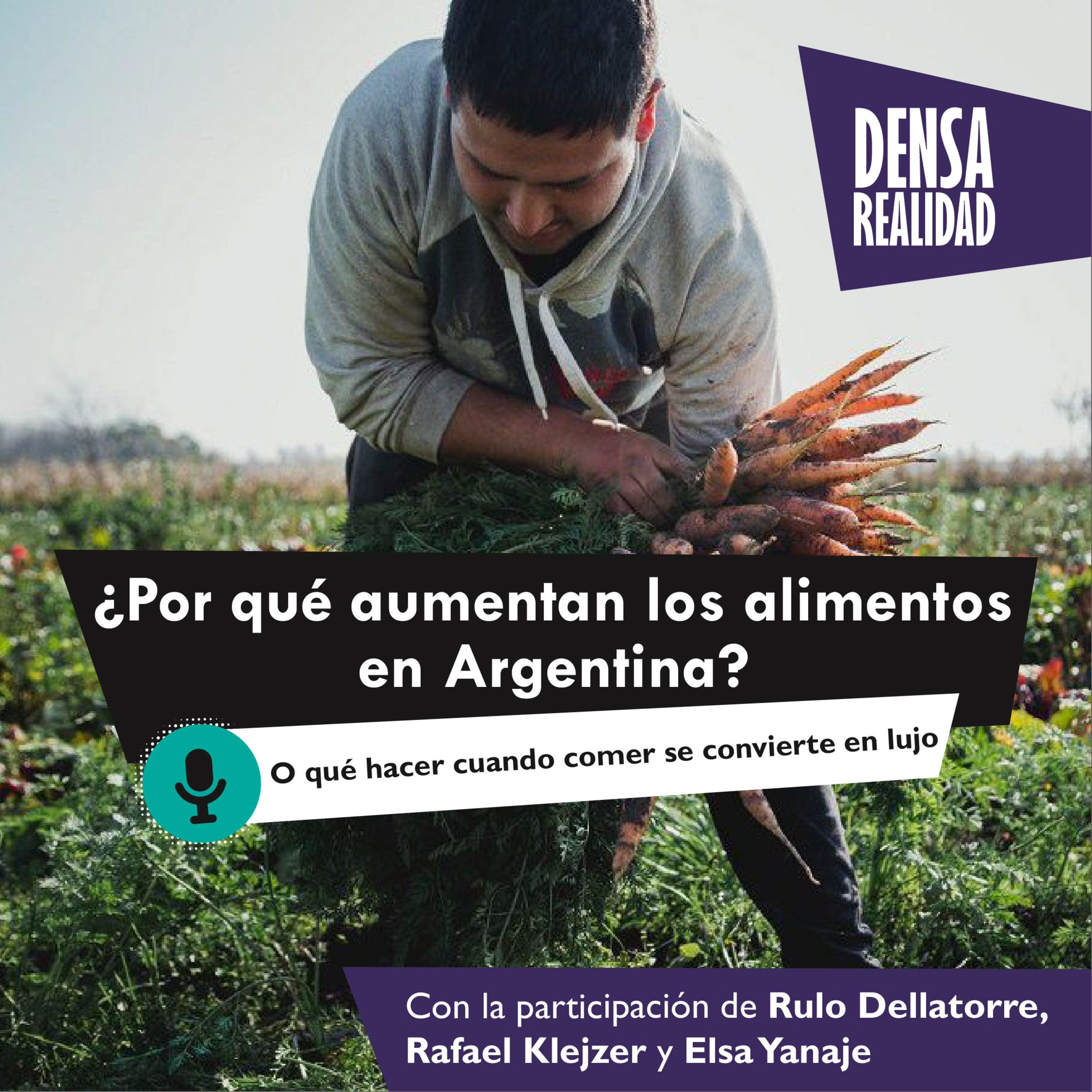 Densa Realidad