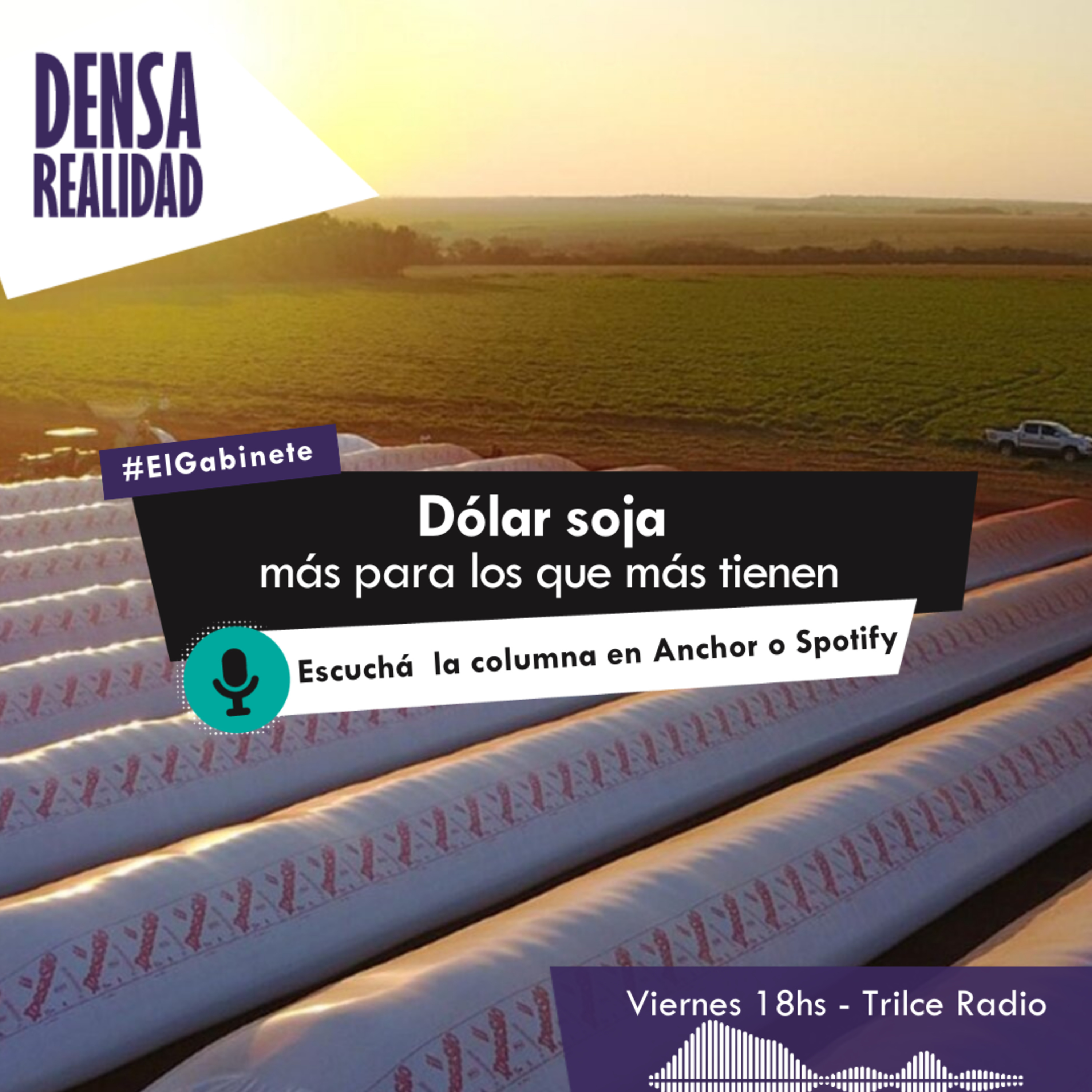 Densa Realidad