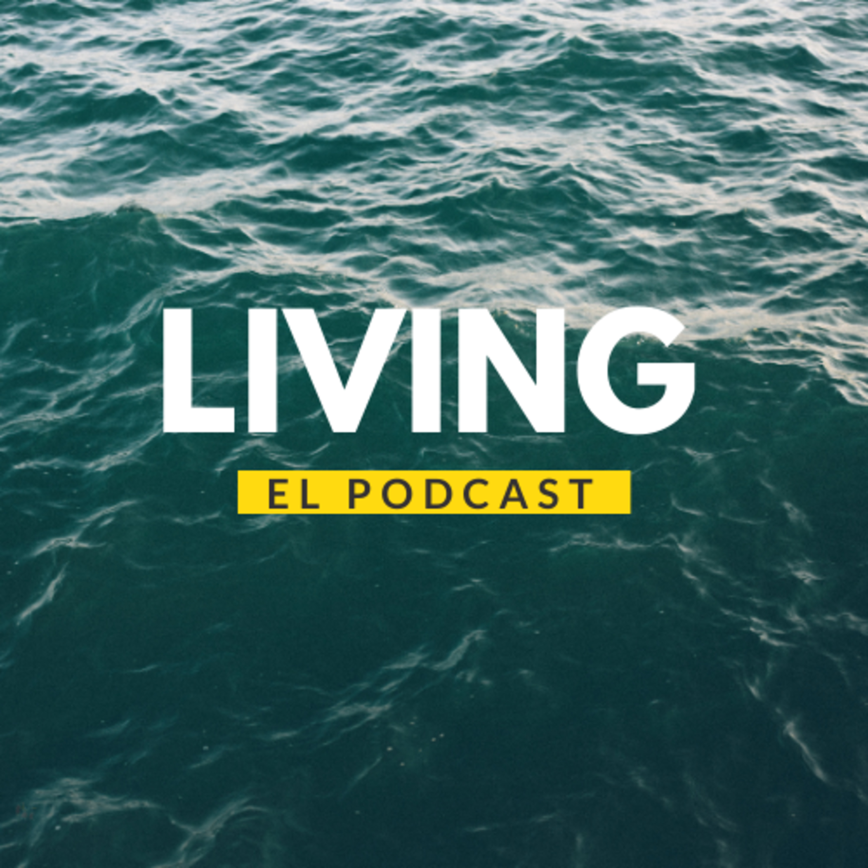 E08 - Superando la niebla