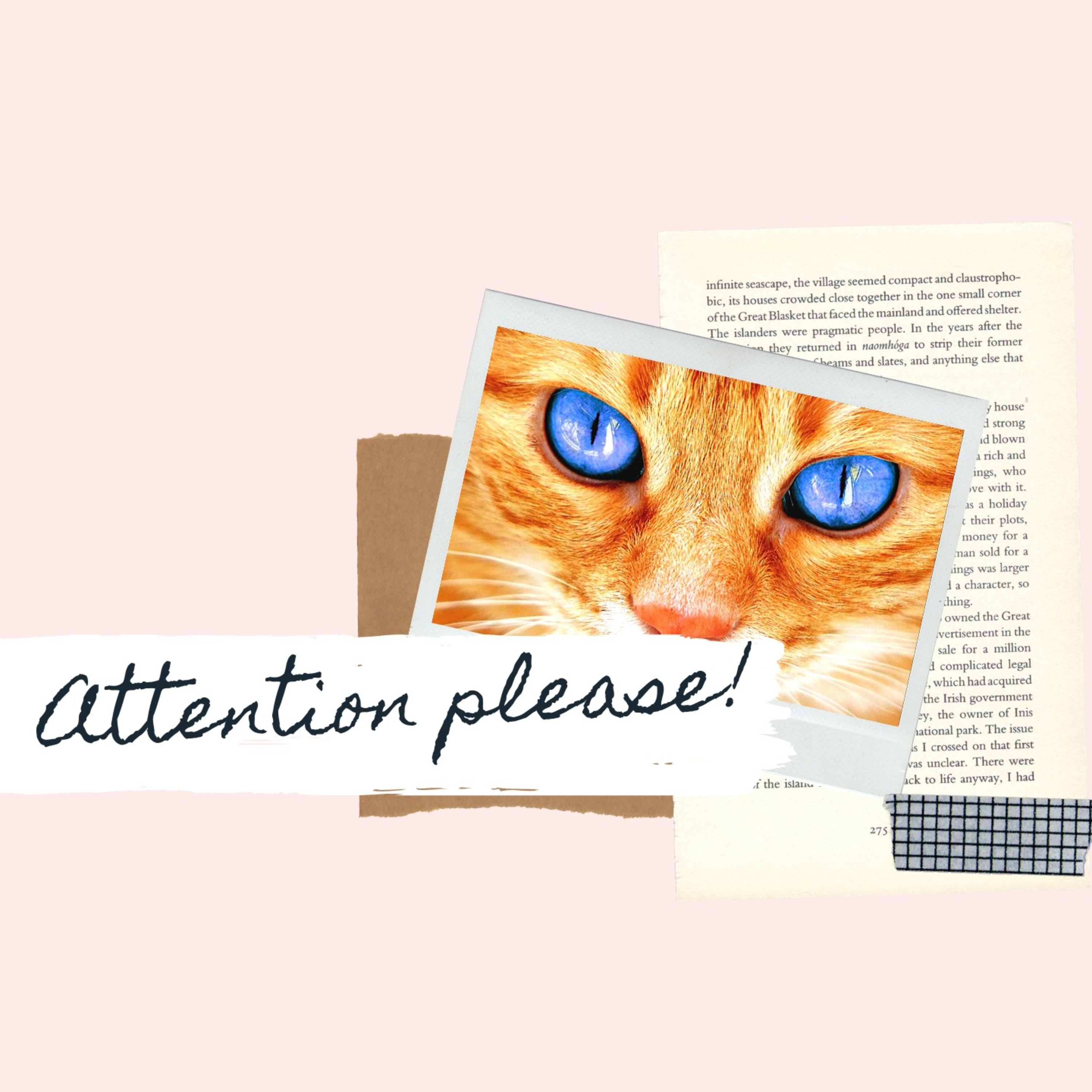 Blank Pages : Yet To Be Filled