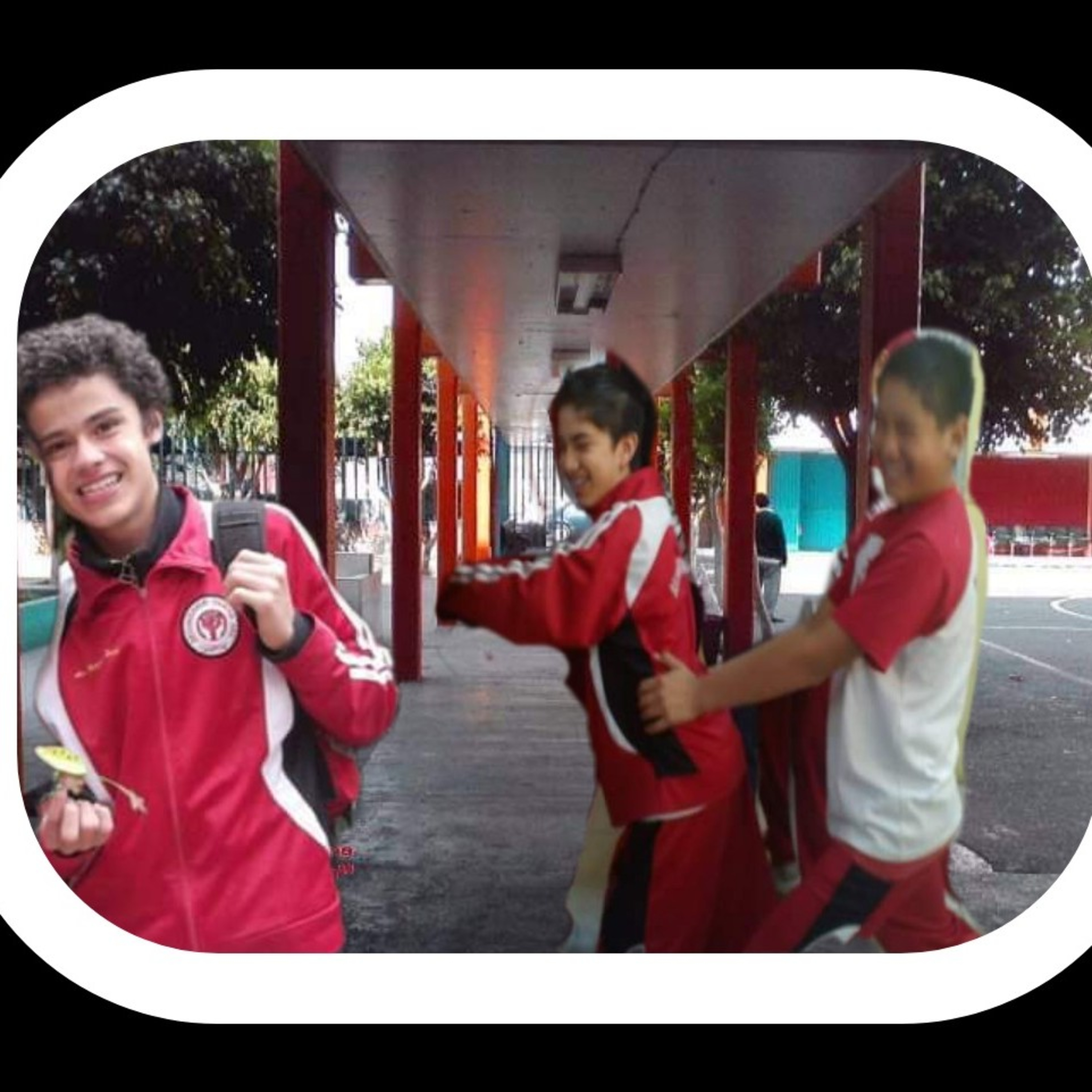 La botaneada