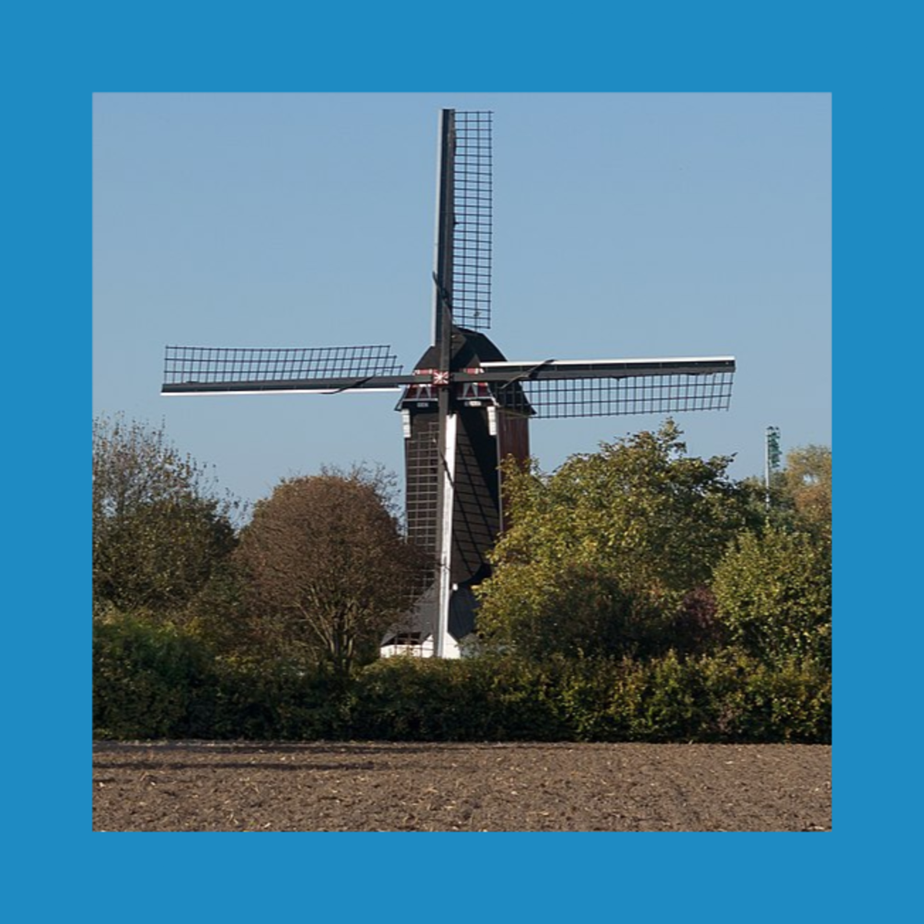 Roggeveen|Olijerhoek - absurdistische podcasts