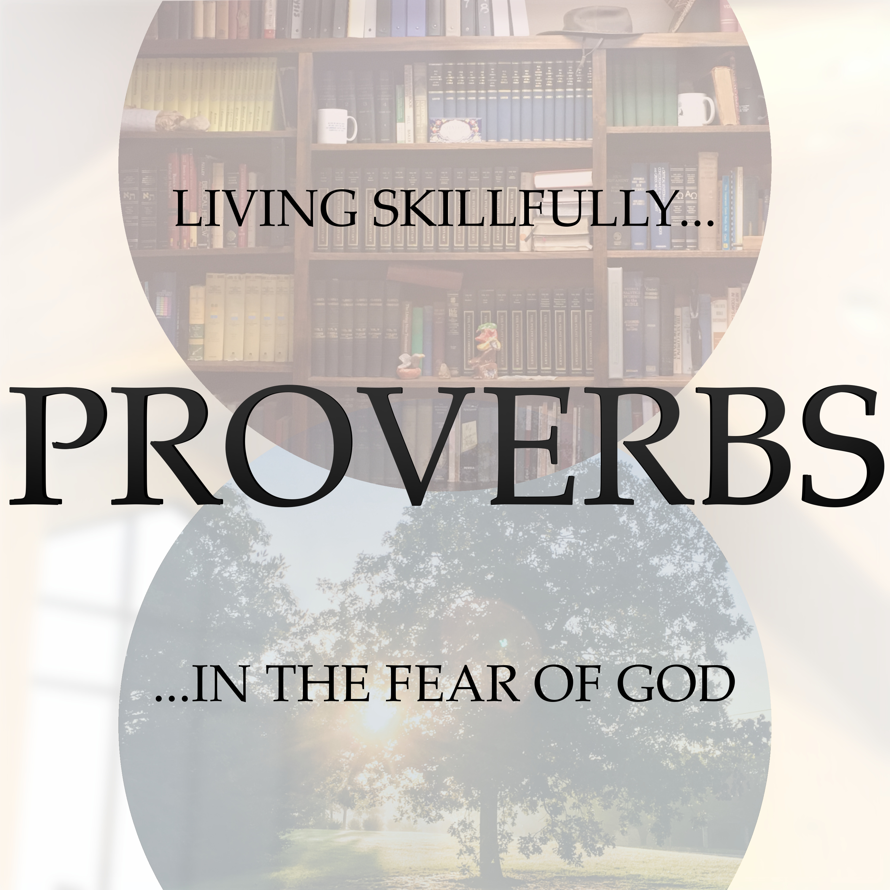 The Truth About Sexual Purity and Immorality