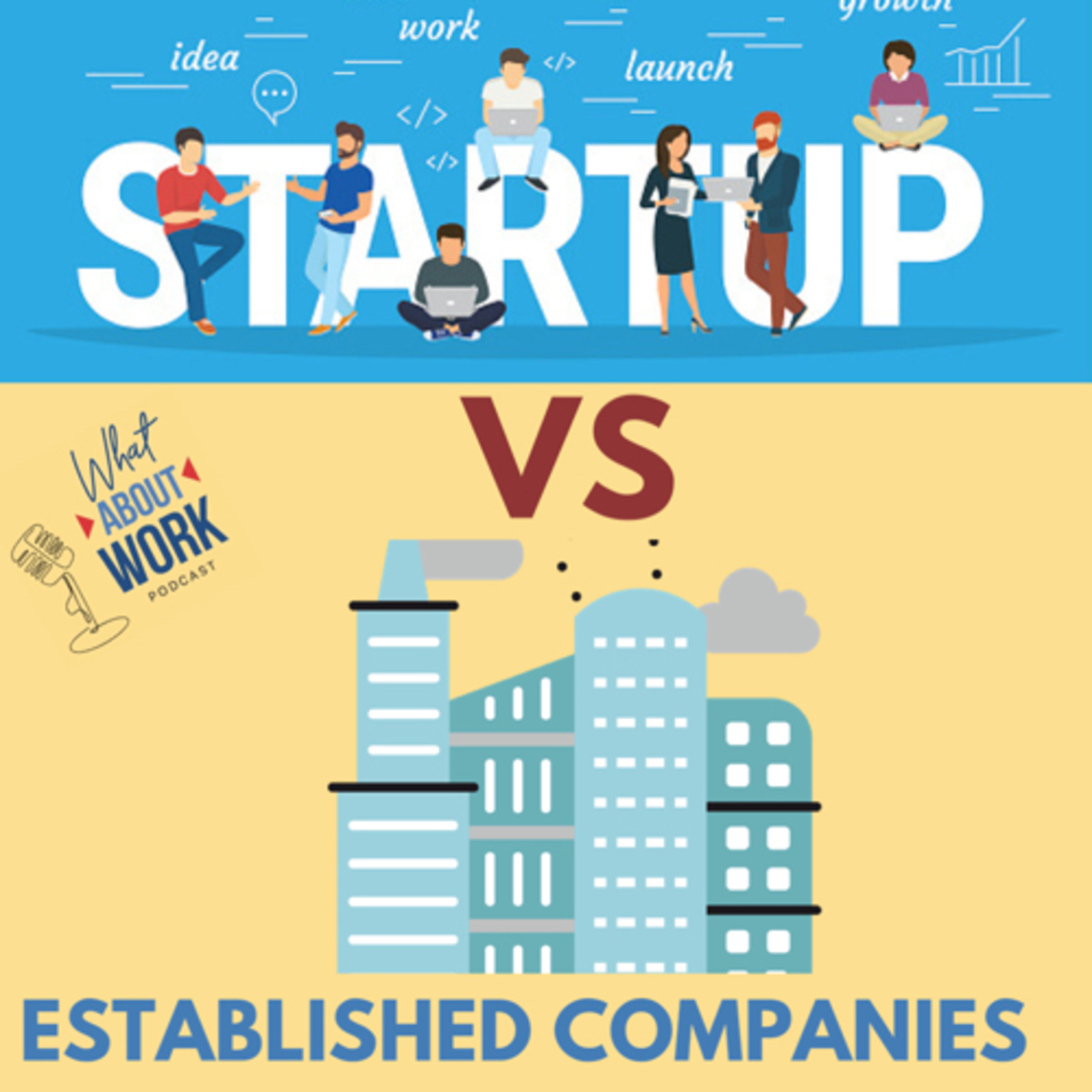 Episode 4 : Start Ups vs Established companies