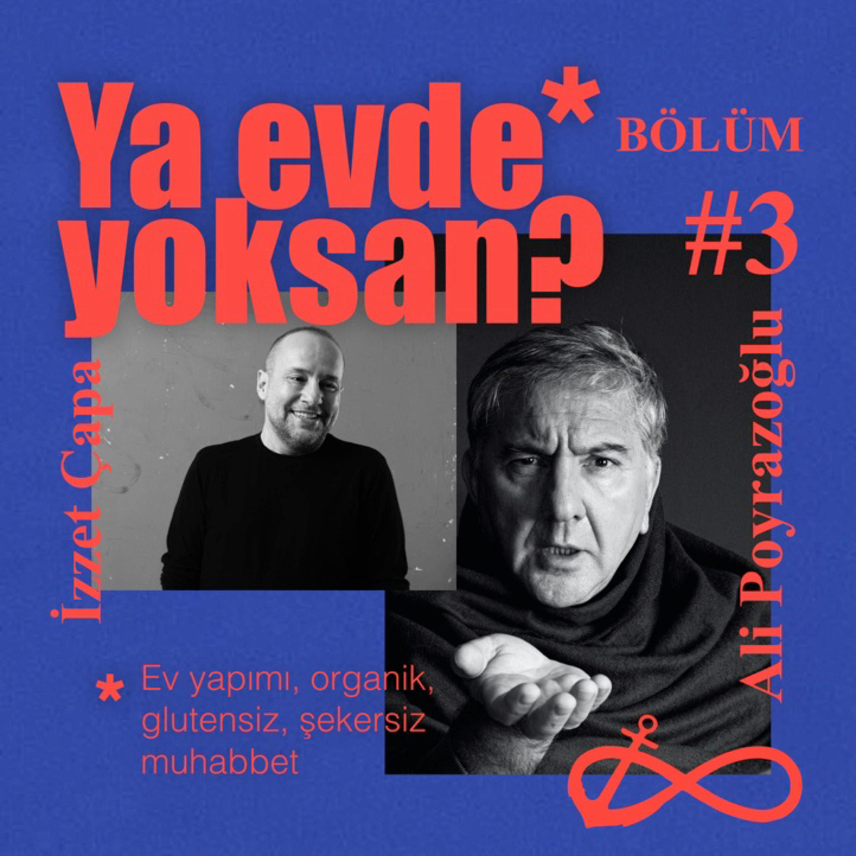 Ali Poyrazoğlu | Ya evde yoksan?* Bölüm #3 episode artwork