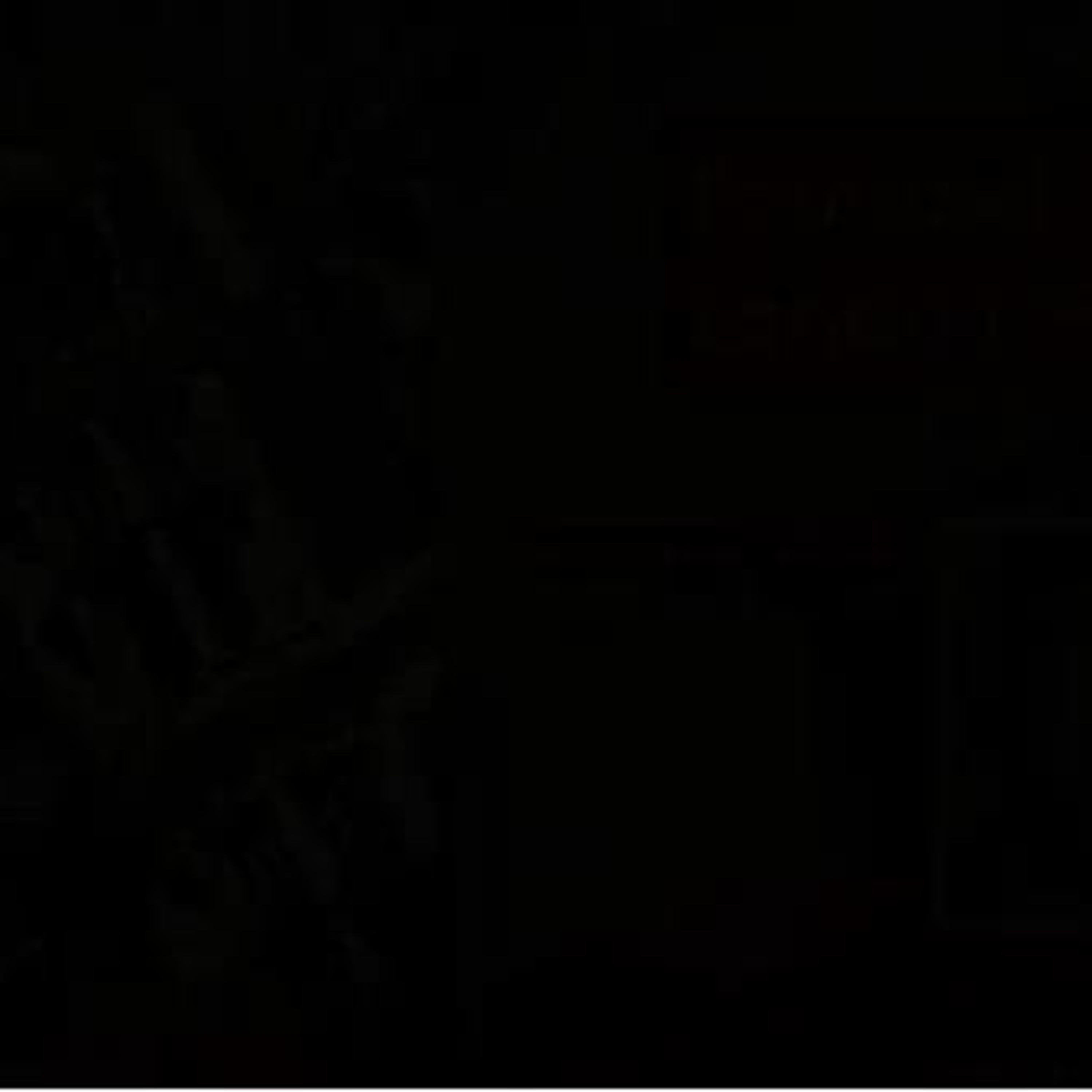 The Lockdown Sports Podcast