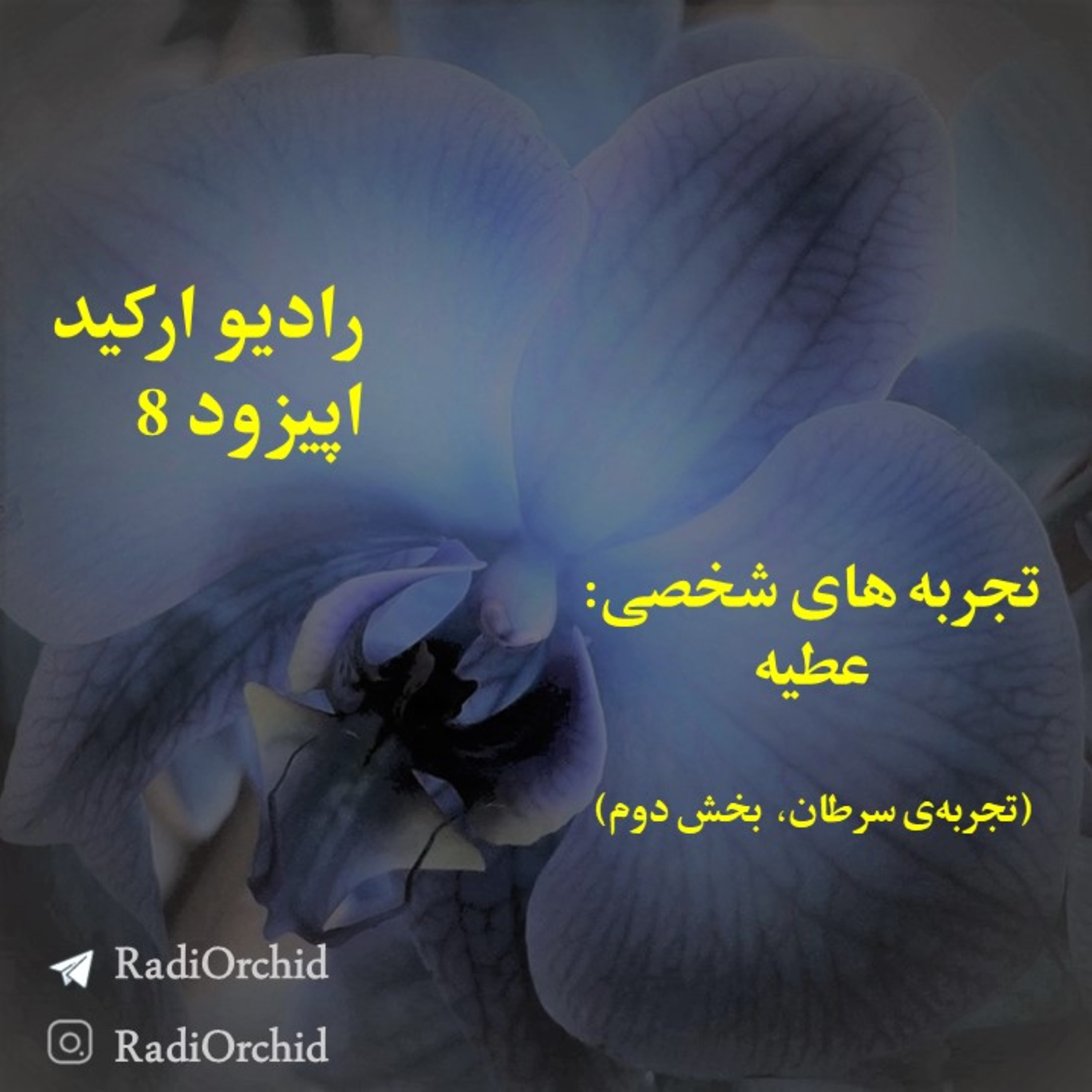 کاور اپیزود 8: تجربه های شخصی- سرطان (بخش دوم)