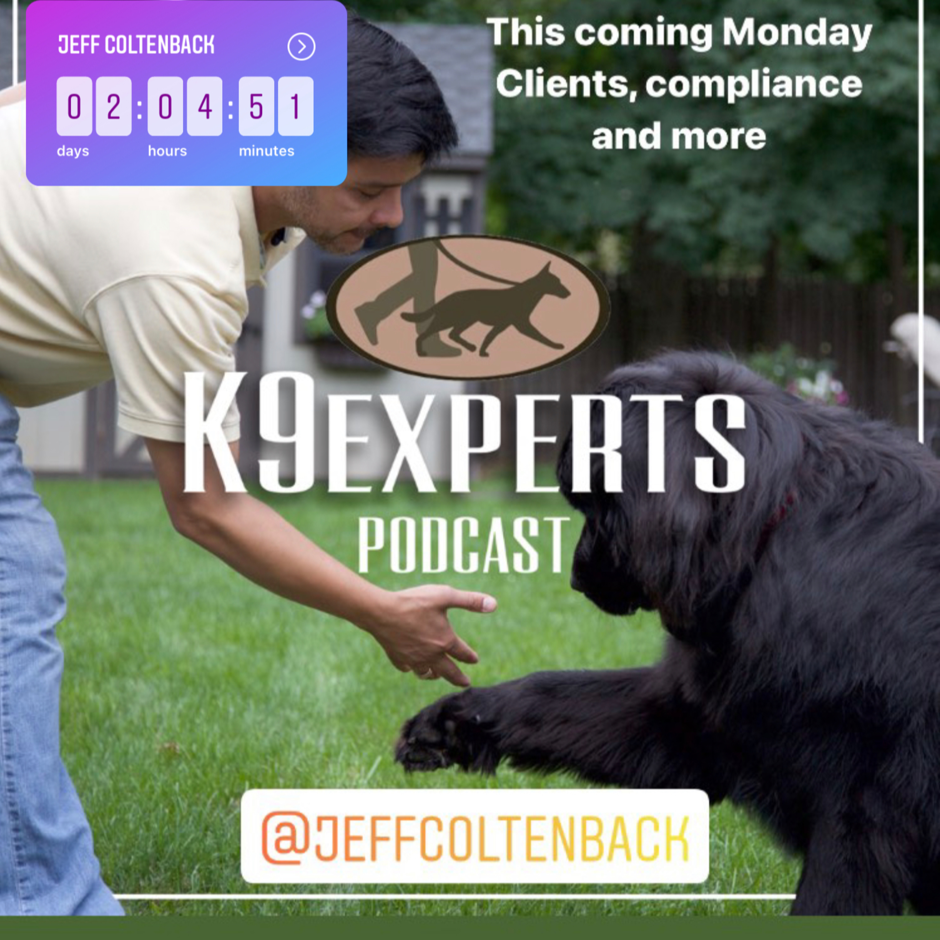 K9Experts
