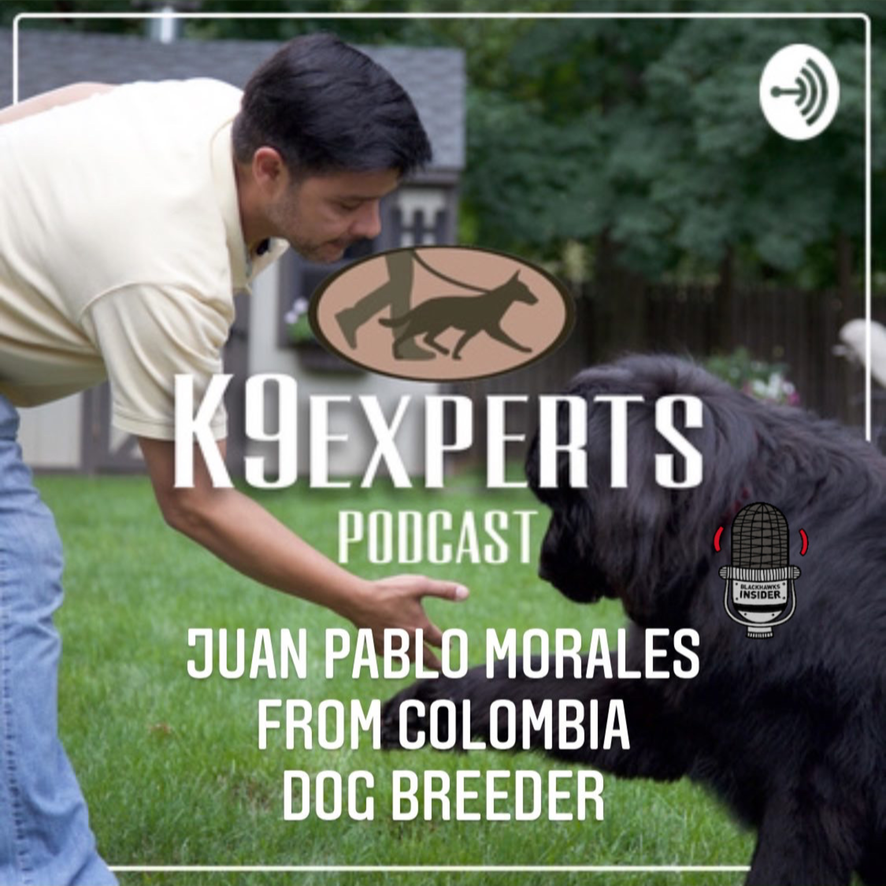 K9Experts