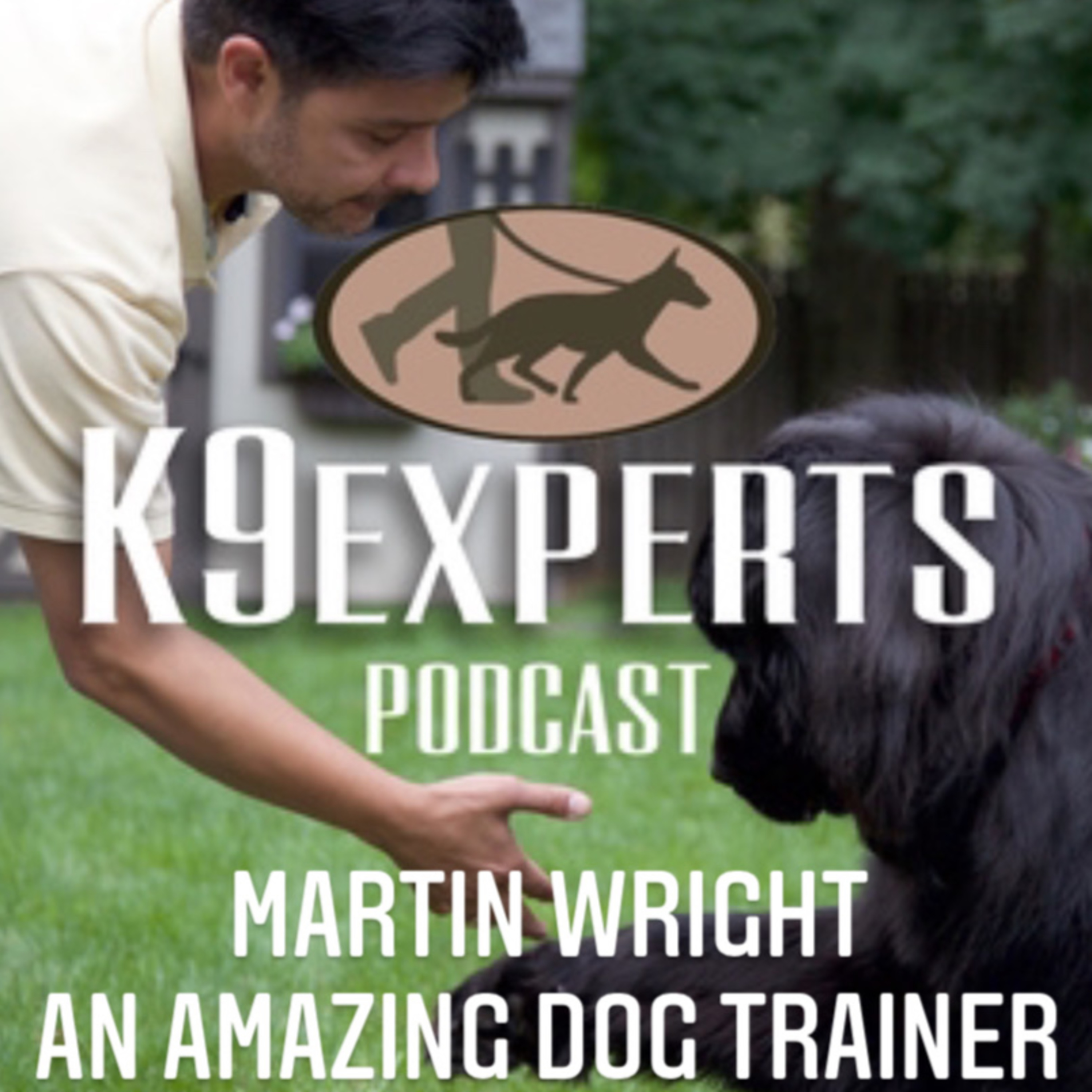 K9Experts