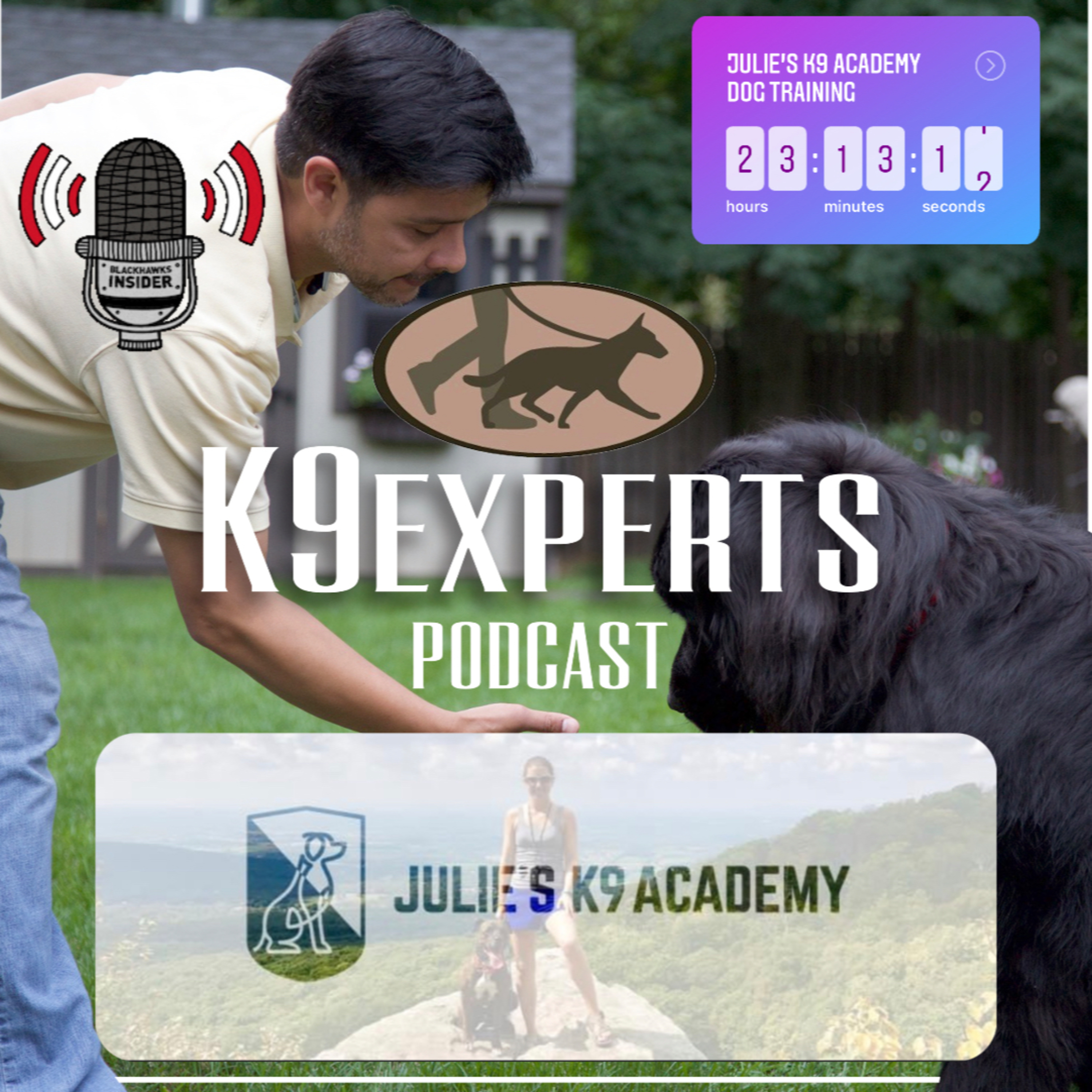 K9Experts