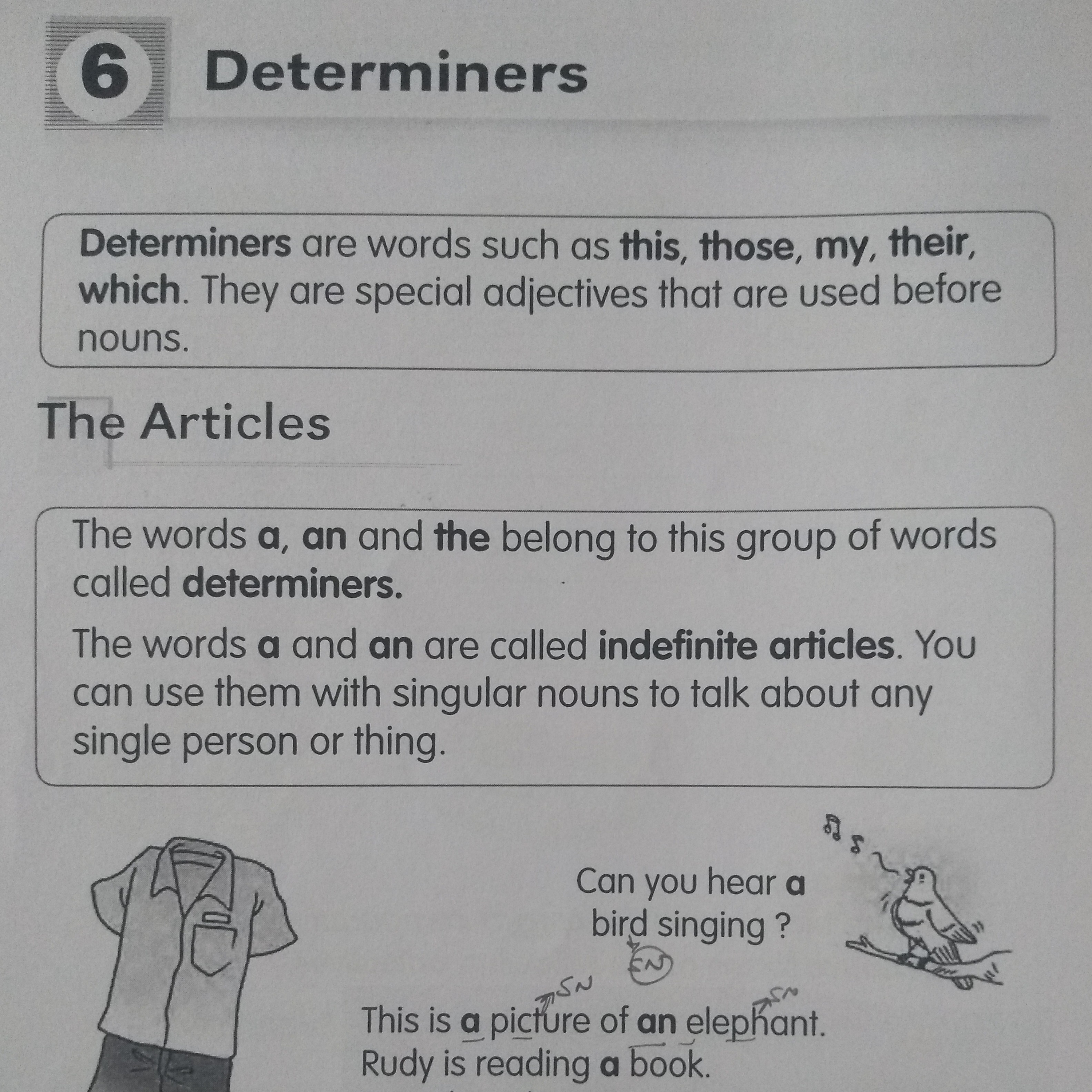 Determiners- Part 1 Class 10