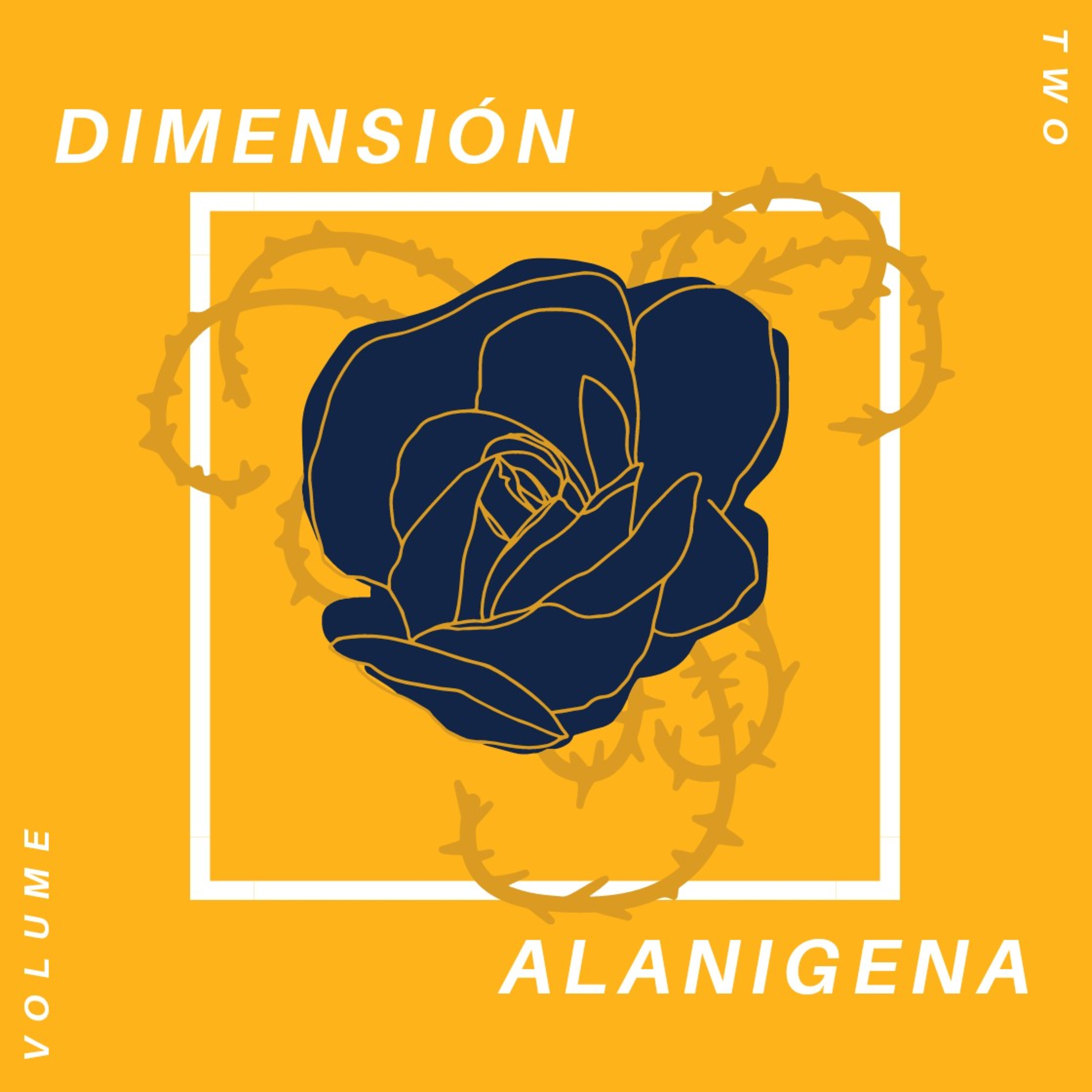 Dimensión Alanigena