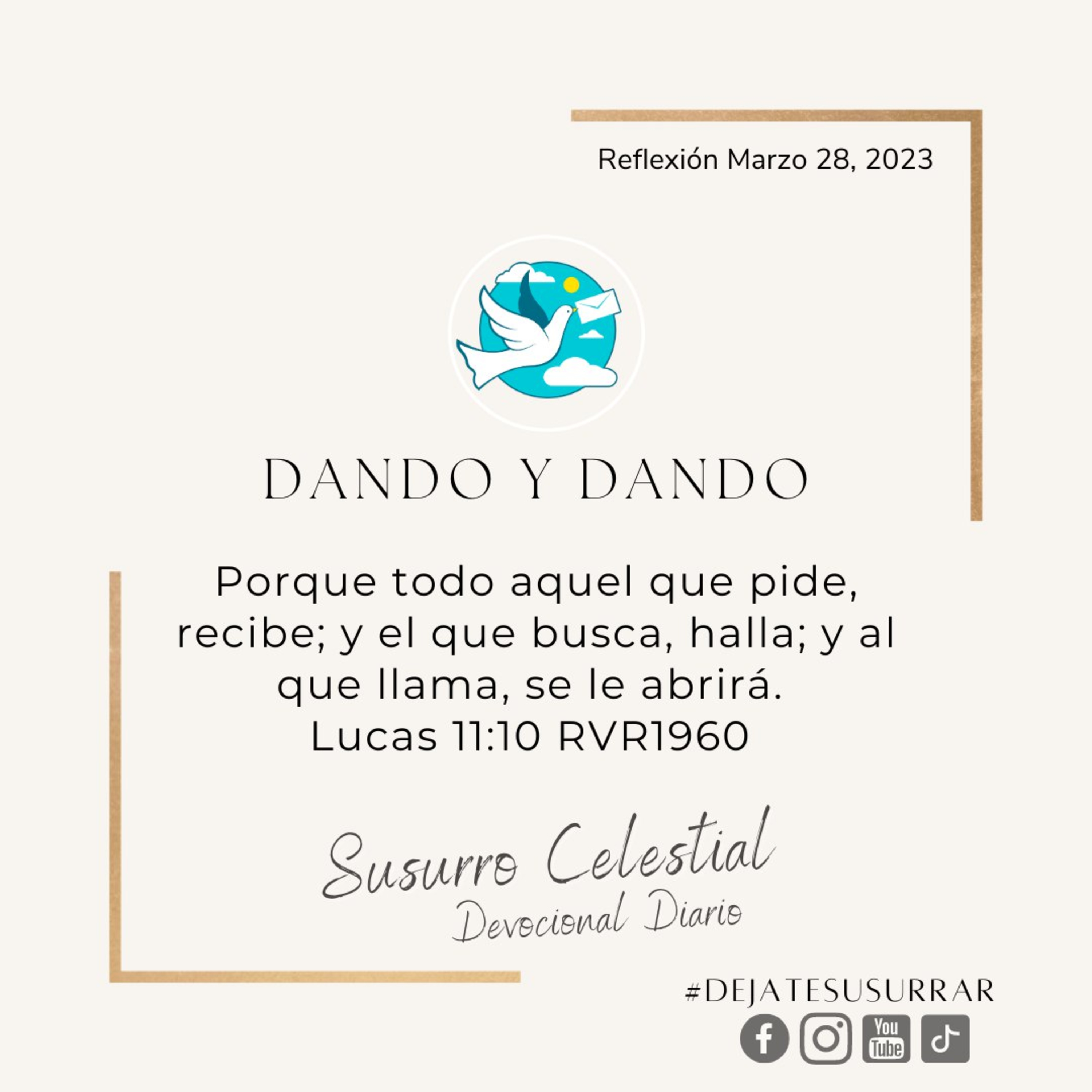 DANDO Y DANDO episode artwork