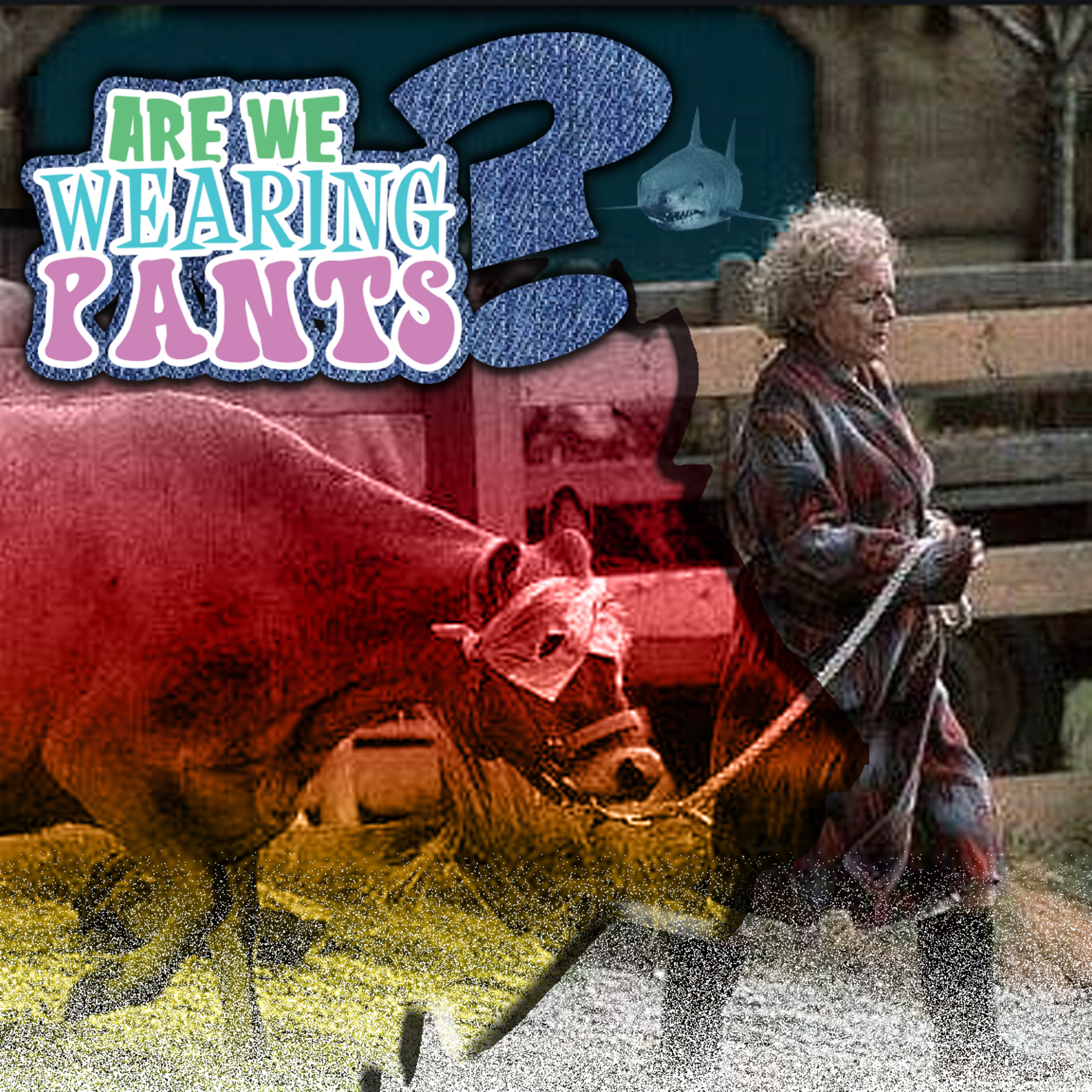 Are We Wearing Pants - Episode 5: When Animals & Fans attack episode artwork
