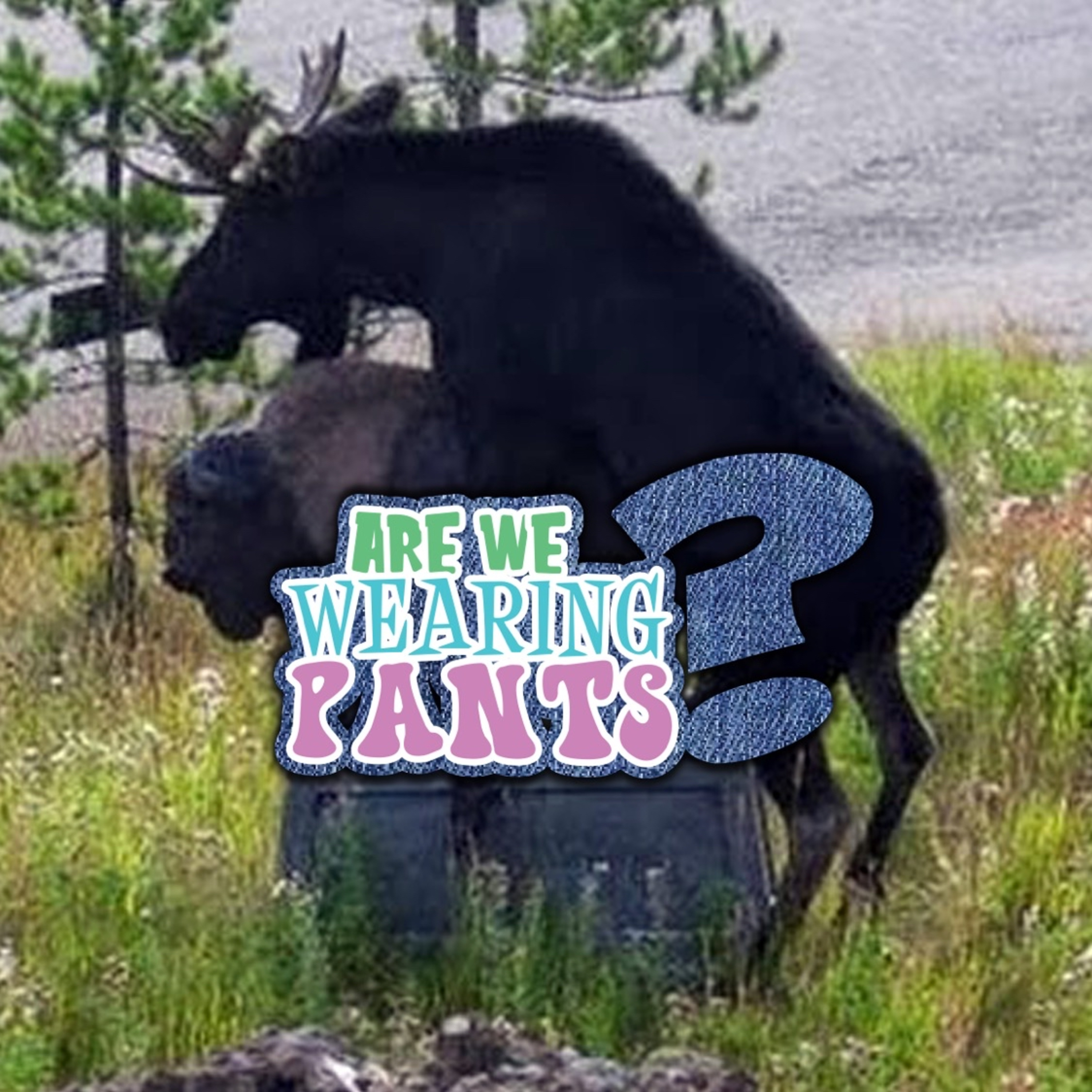 Are We Wearing Pants? - Episode20: Moose Member! episode artwork