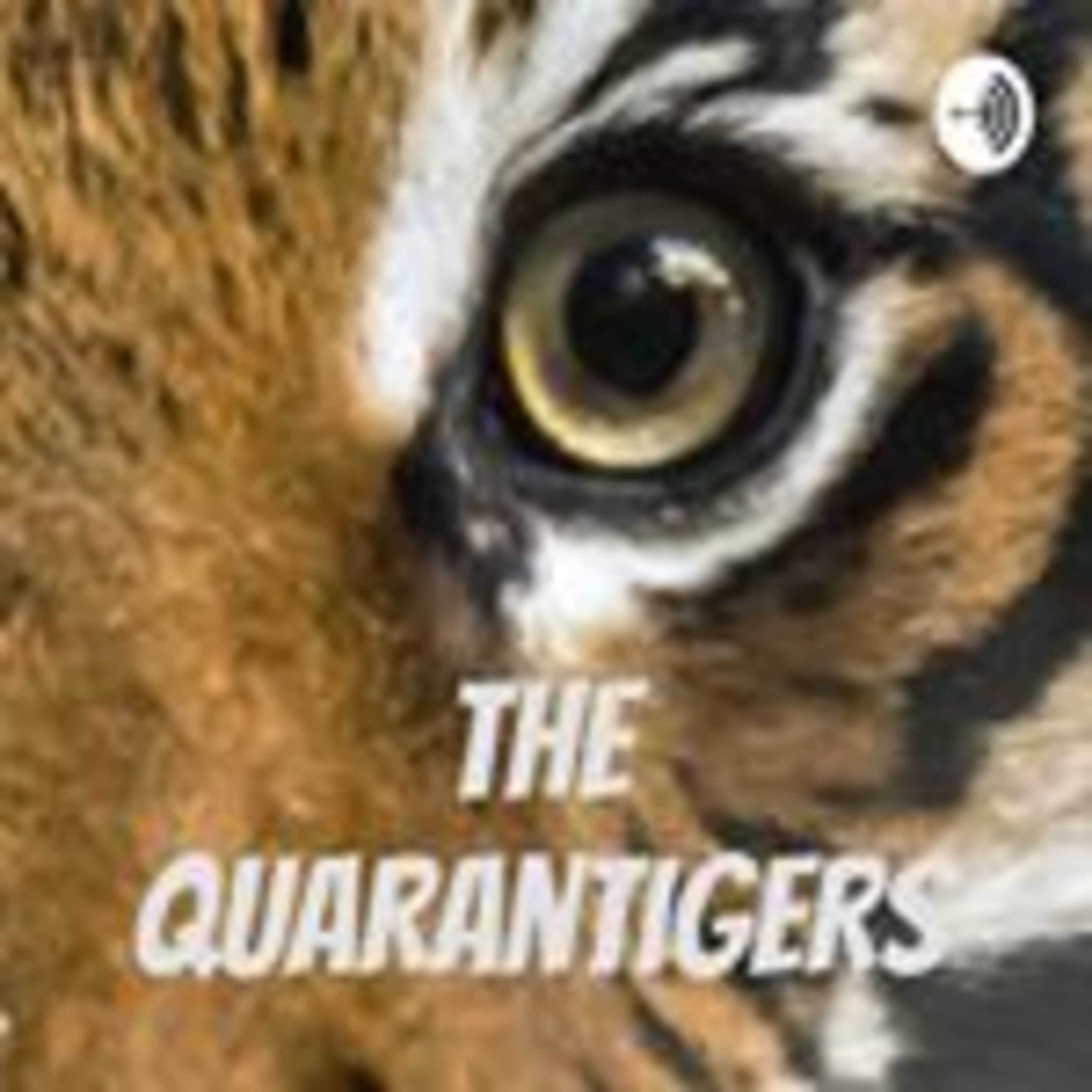 The Quarantigers
