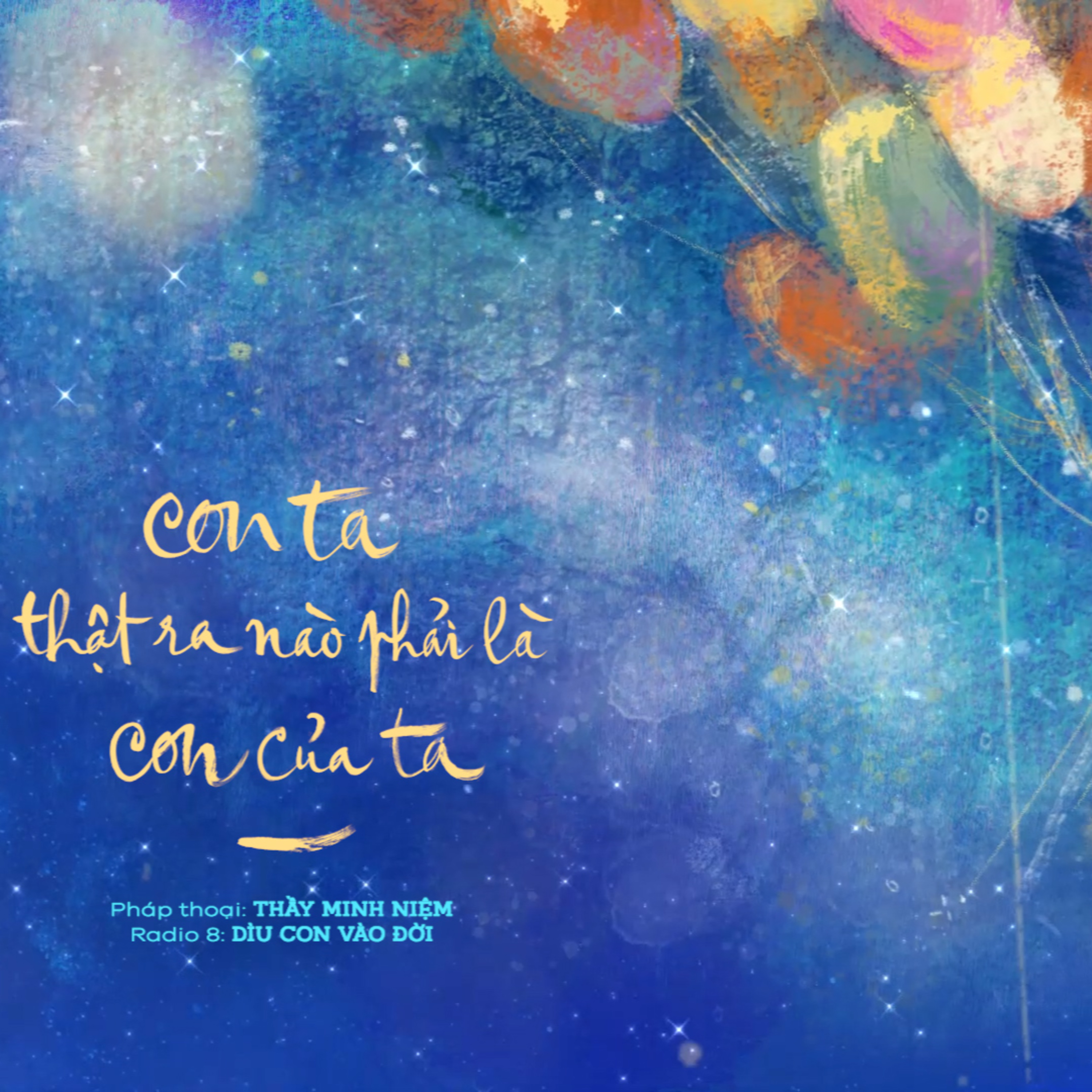 Thầy Minh Niệm l Con ta thật ra nào phải là con của ta l Trích Radio số 08 "Dìu con vào đời" episode artwork