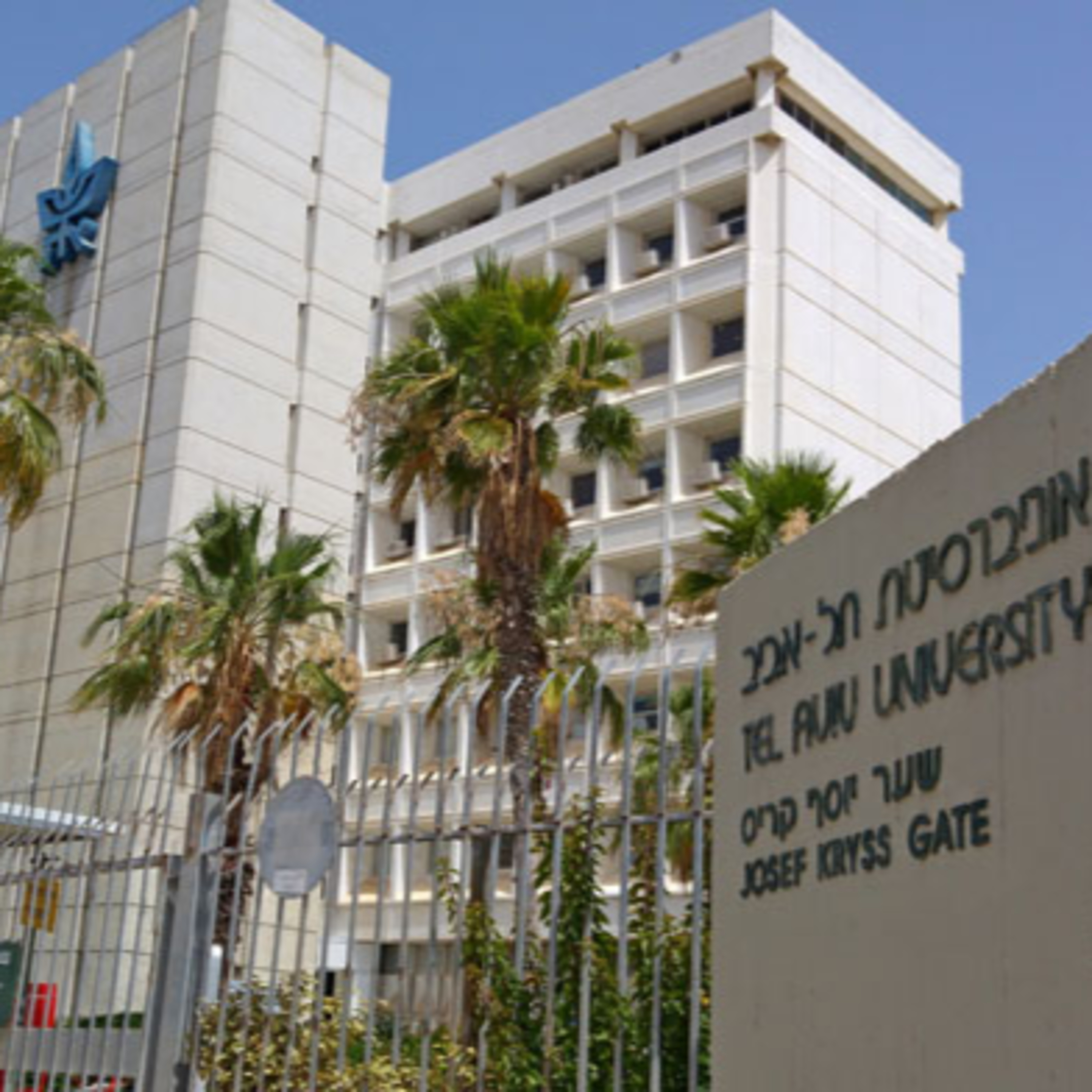 191- לומדים להתארגן نتعلّم التنظيم