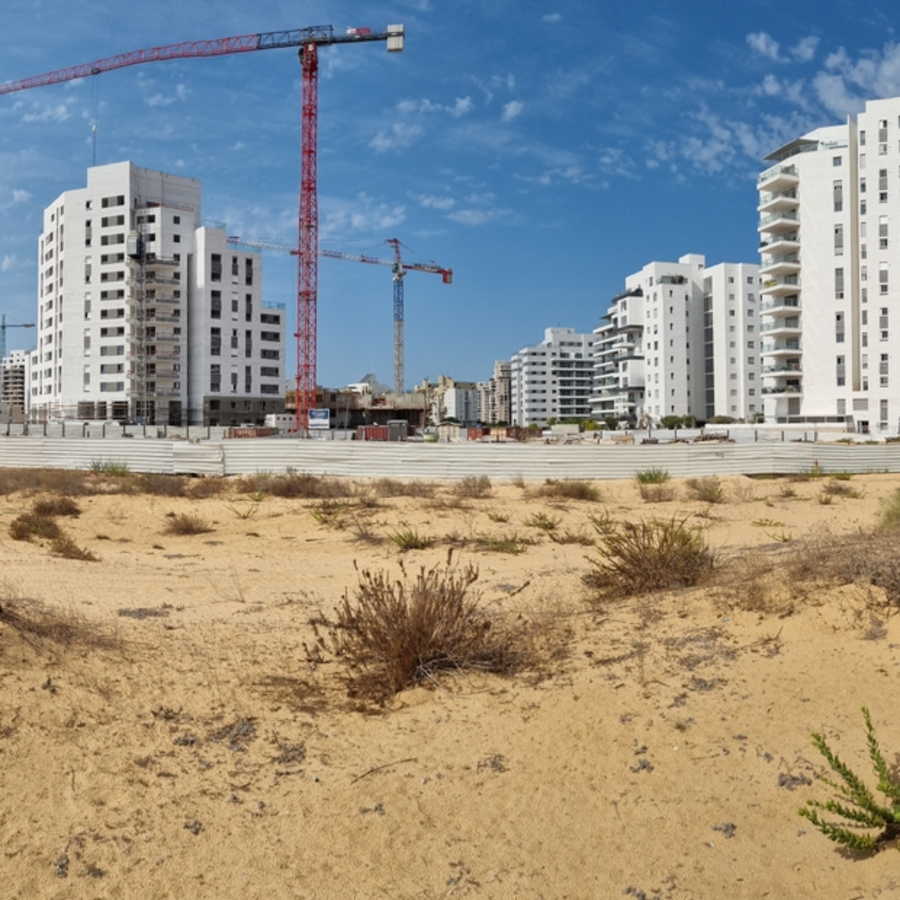 קריאת השכמה صرخة توعية