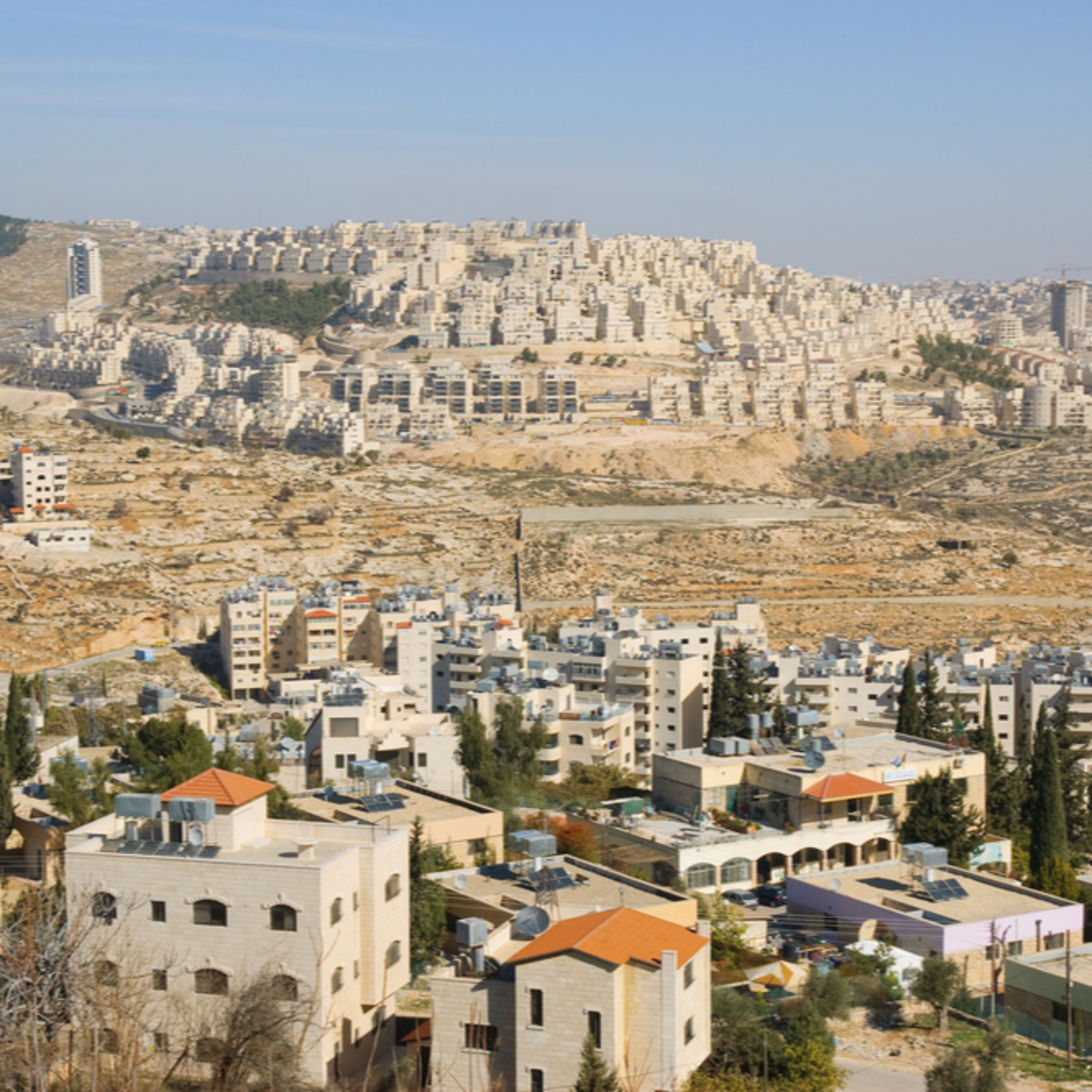 קריאת השכמה صرخة توعية