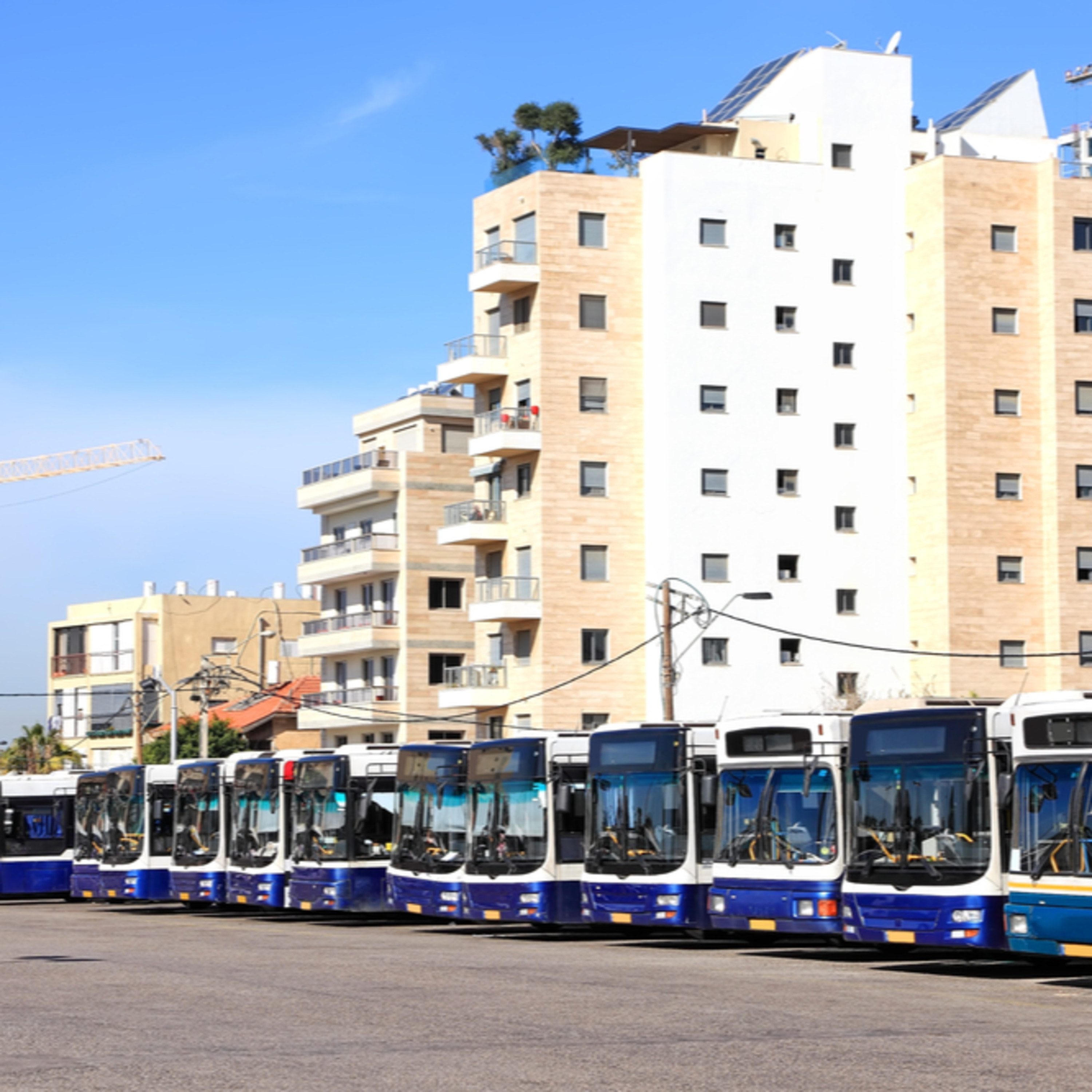 קריאת השכמה صرخة توعية