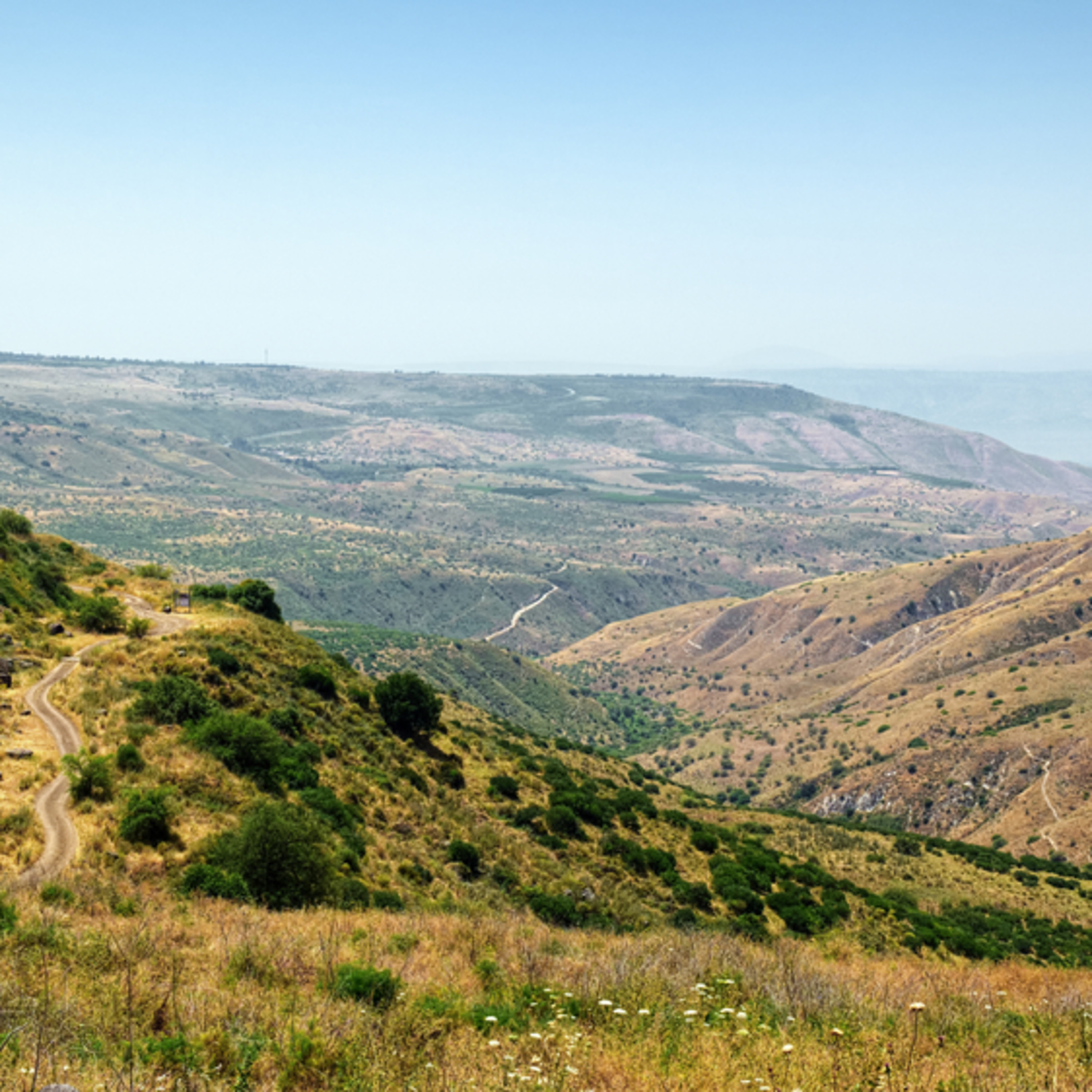 קריאת השכמה صرخة توعية