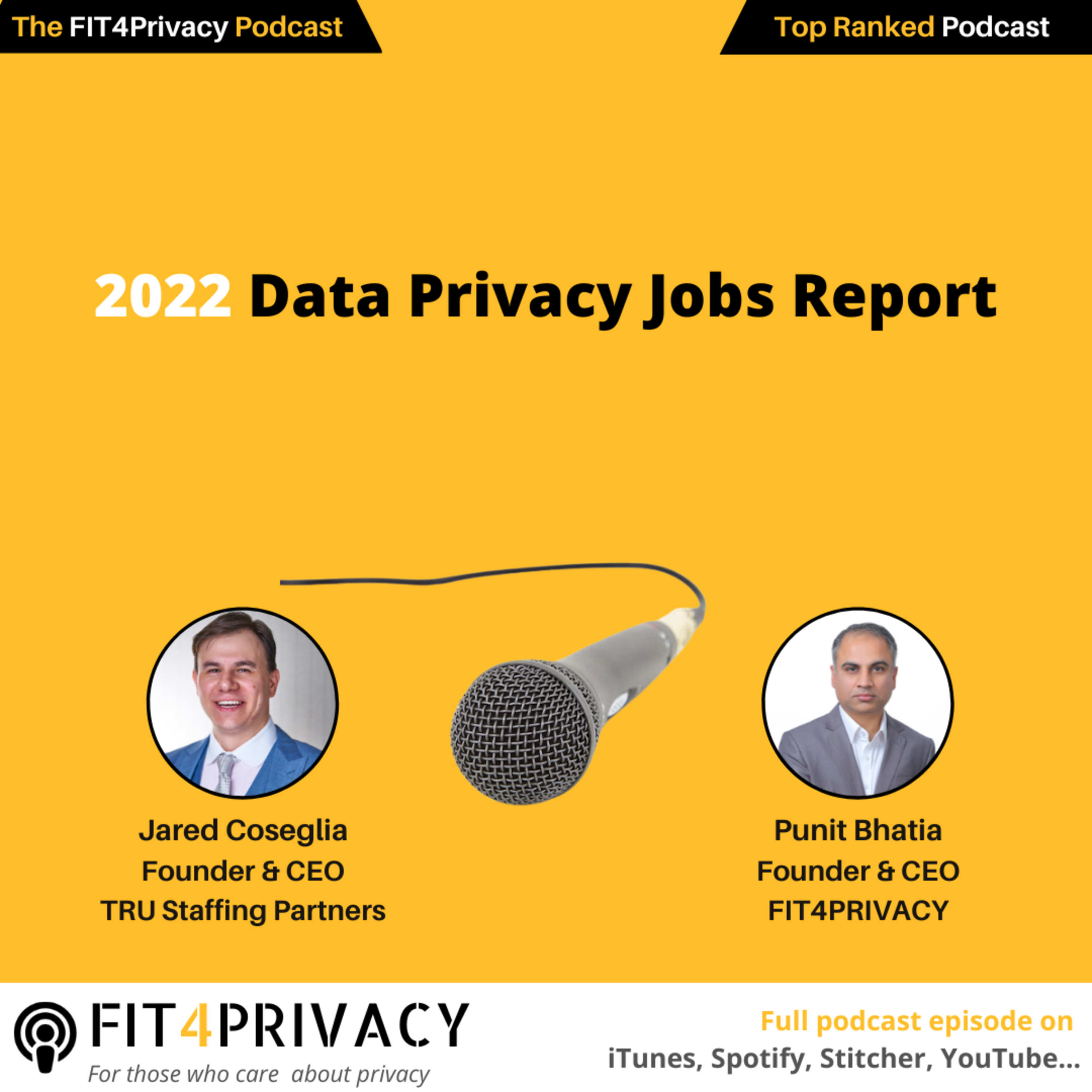 The FIT4Privacy Podcast - AI and Privacy insights to help you grow your skills