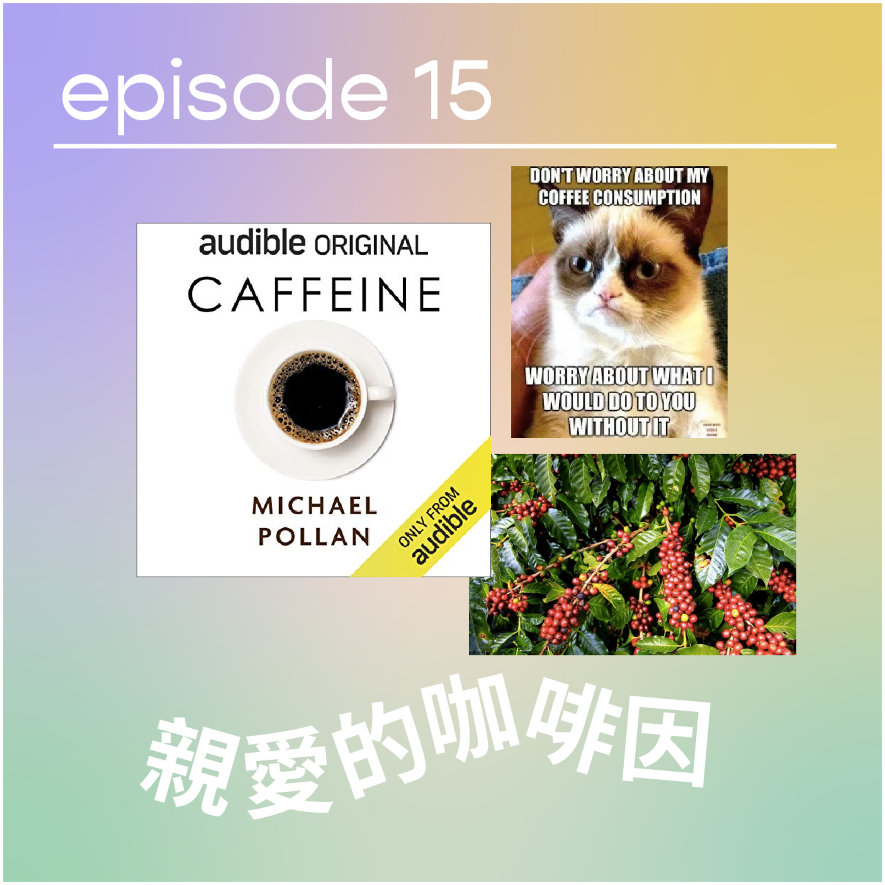 請原諒我要十二點前瞓覺
