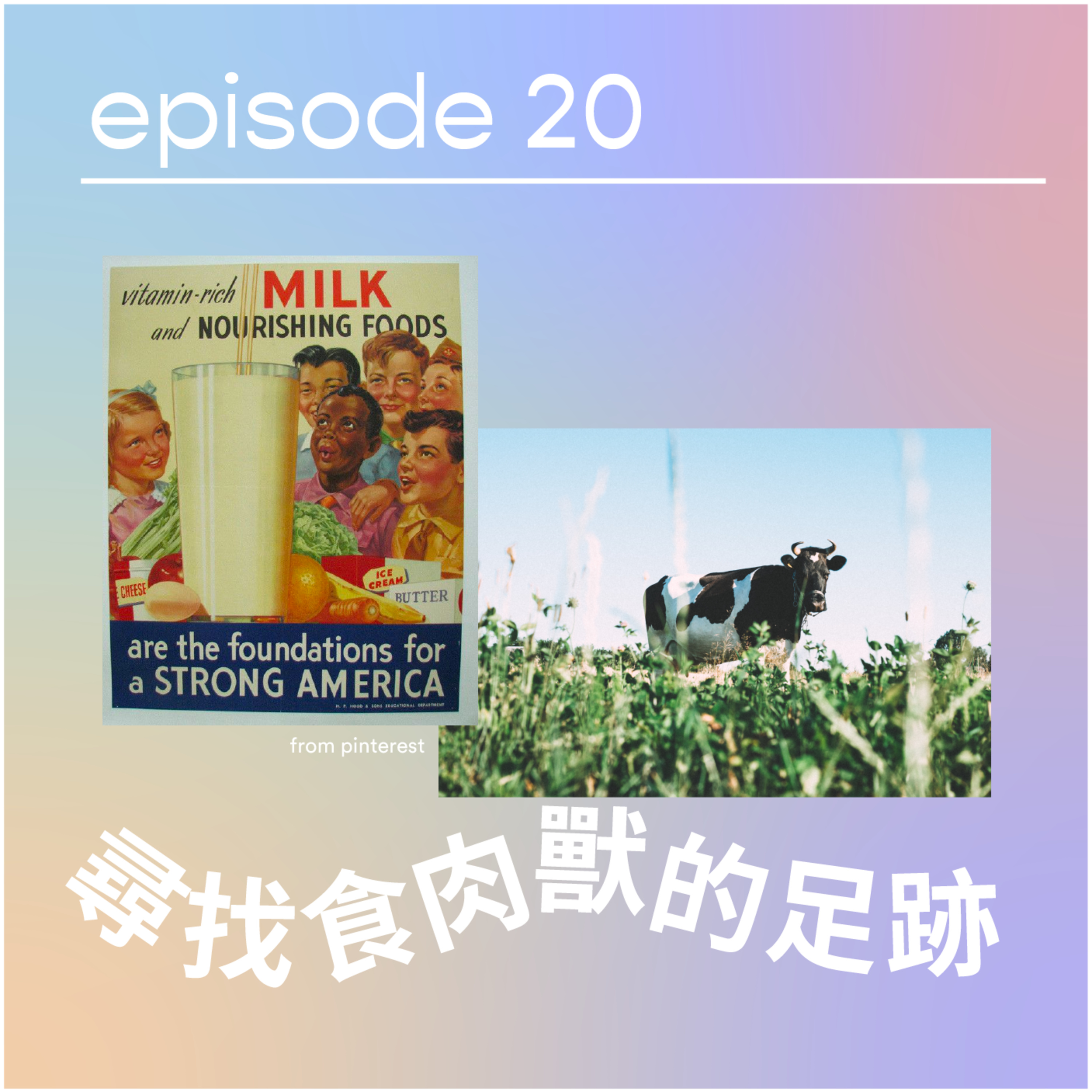 請原諒我要十二點前瞓覺