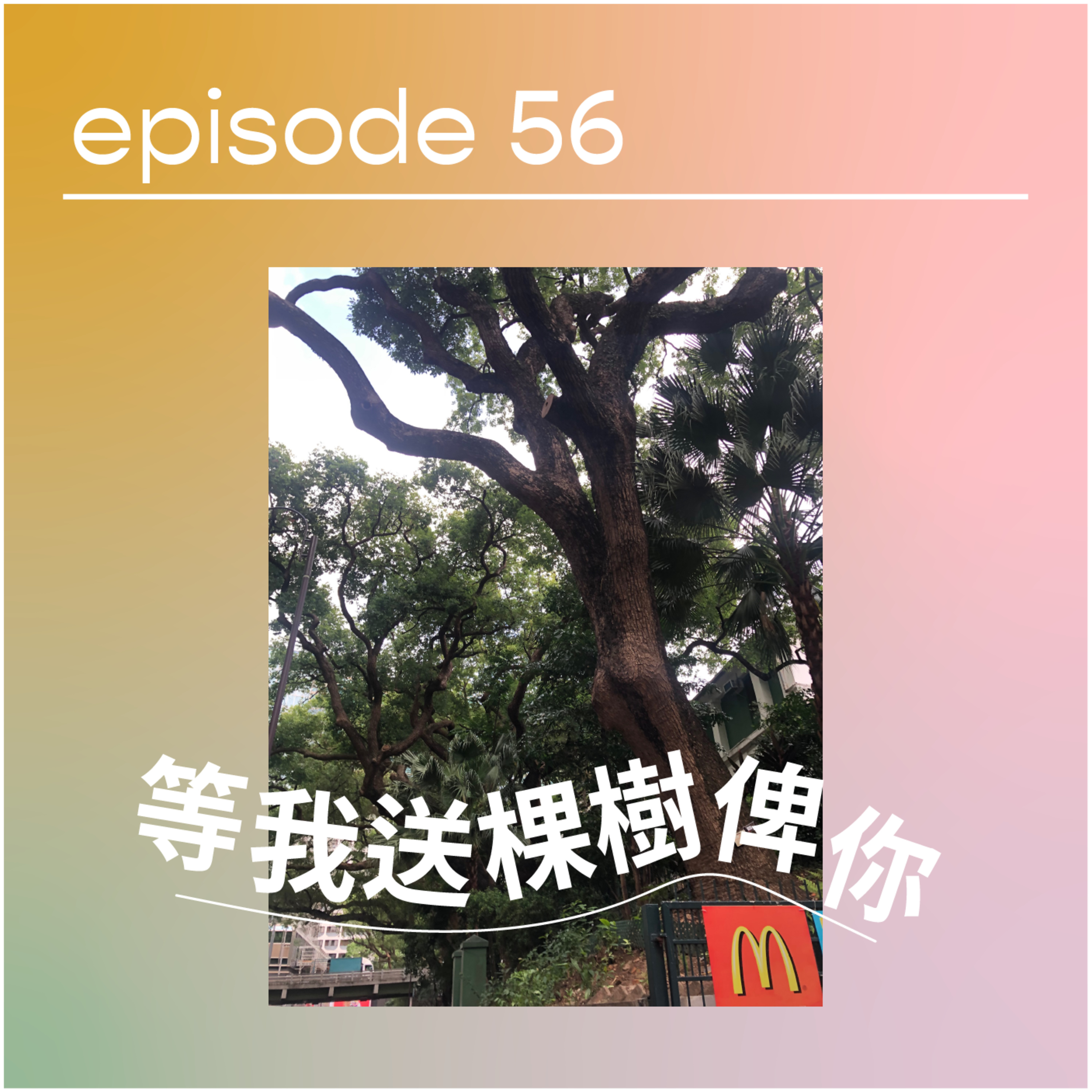 請原諒我要十二點前瞓覺