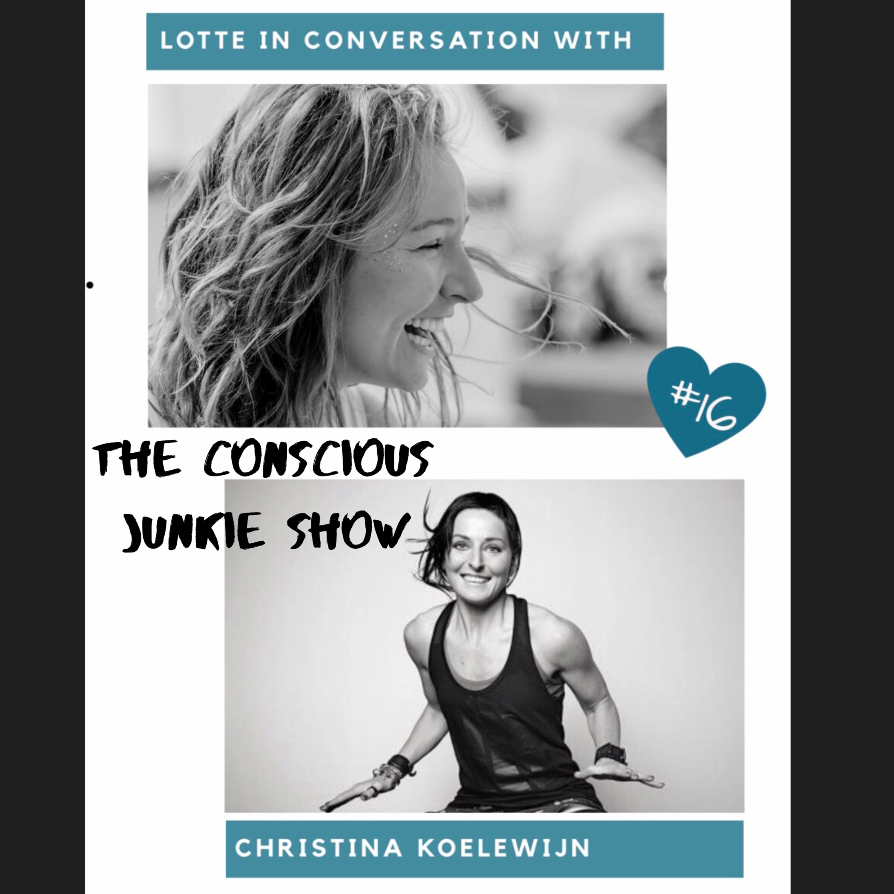The Conscious Junkie Show