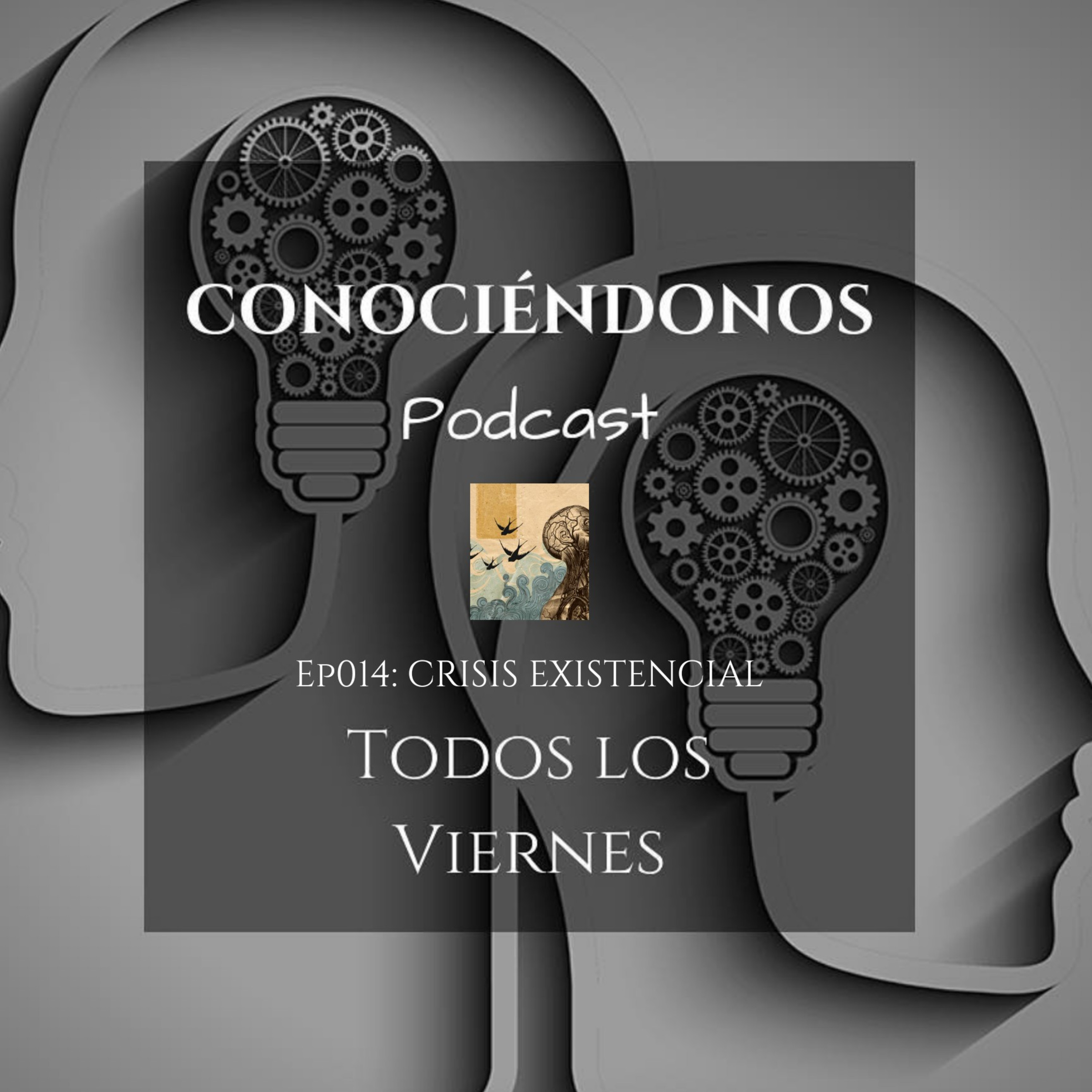 Conociéndonos