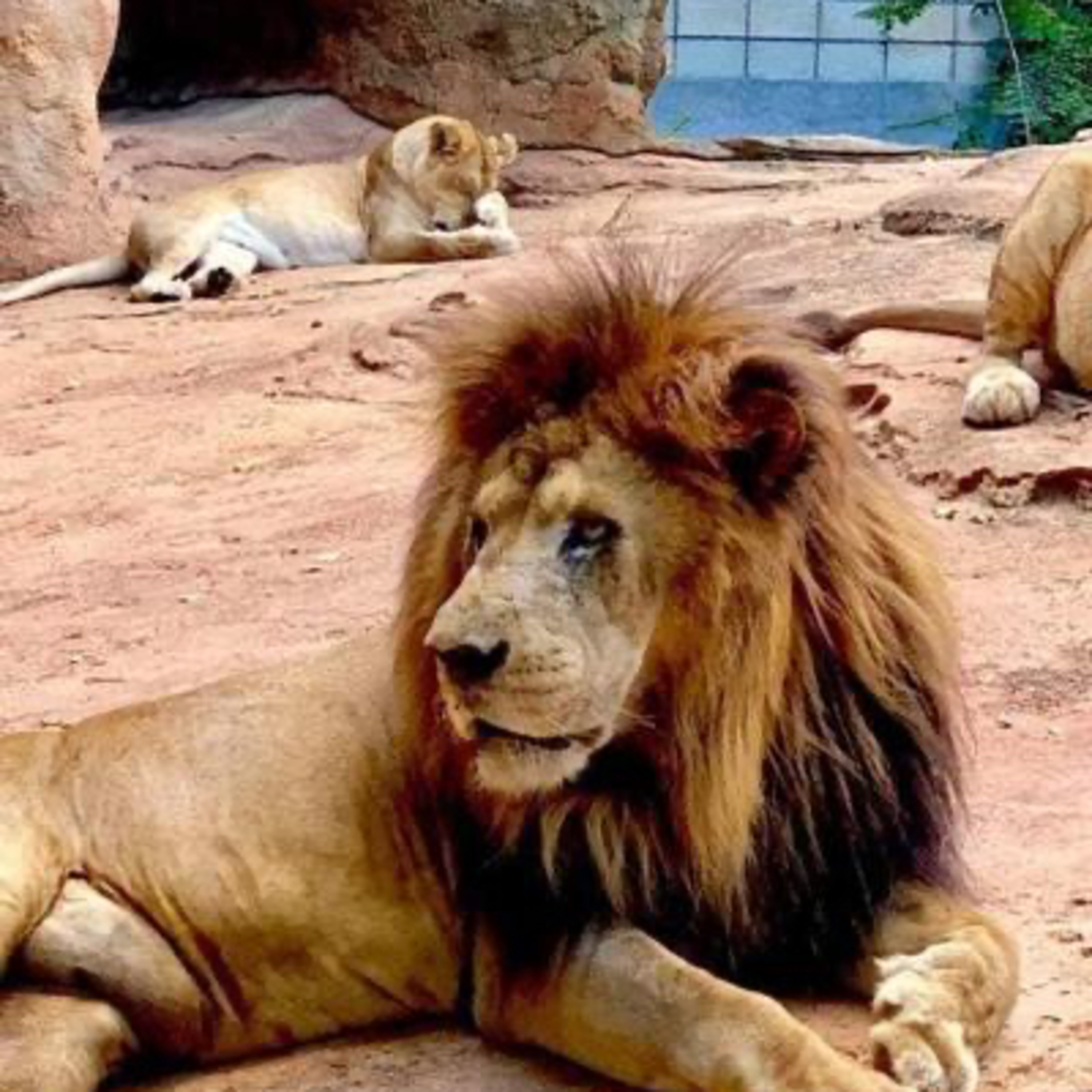 TERTULIANDO CON RAFA