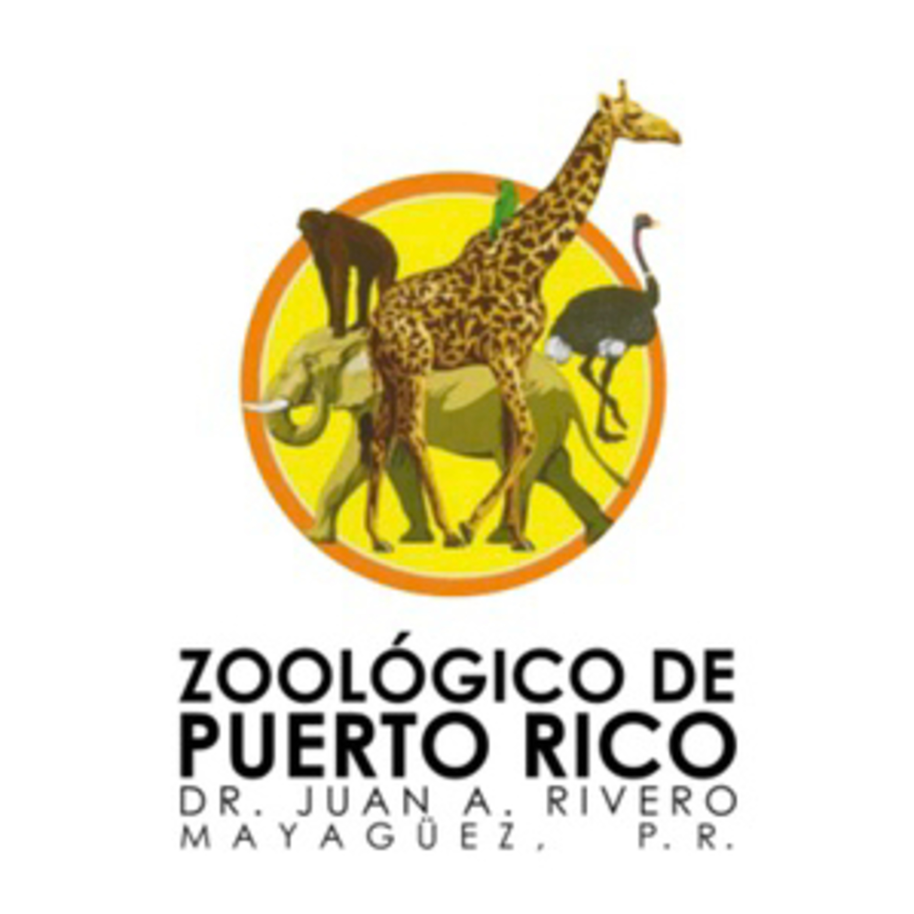 TERTULIANDO CON RAFA