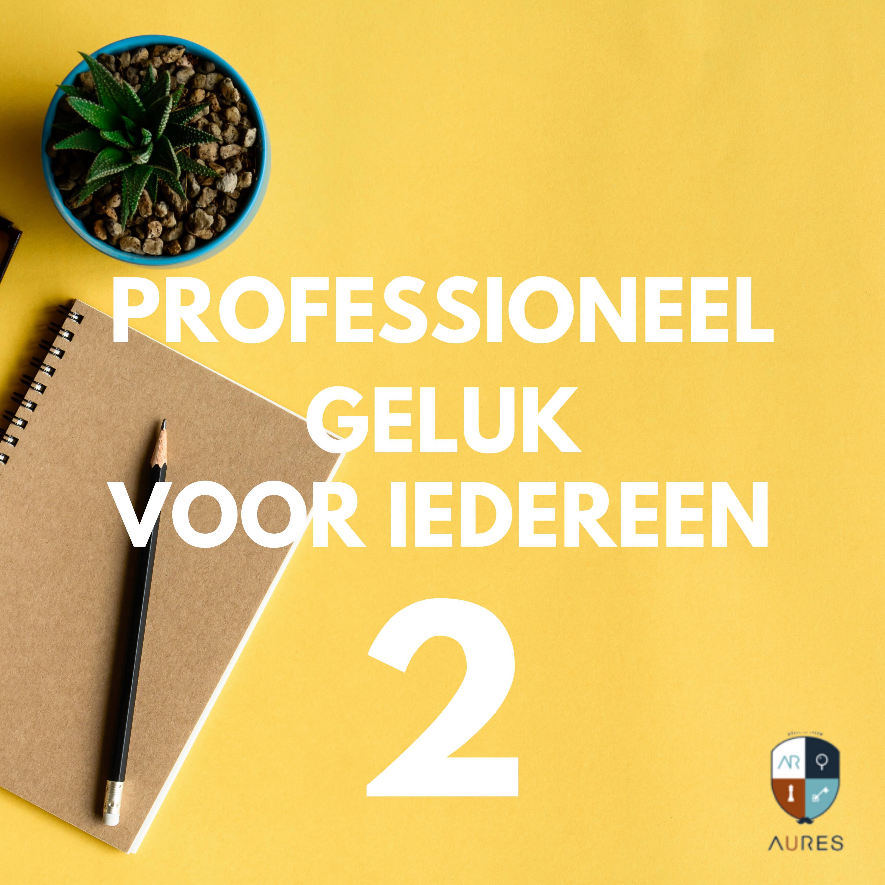 Professioneel Geluk voor Iedereen