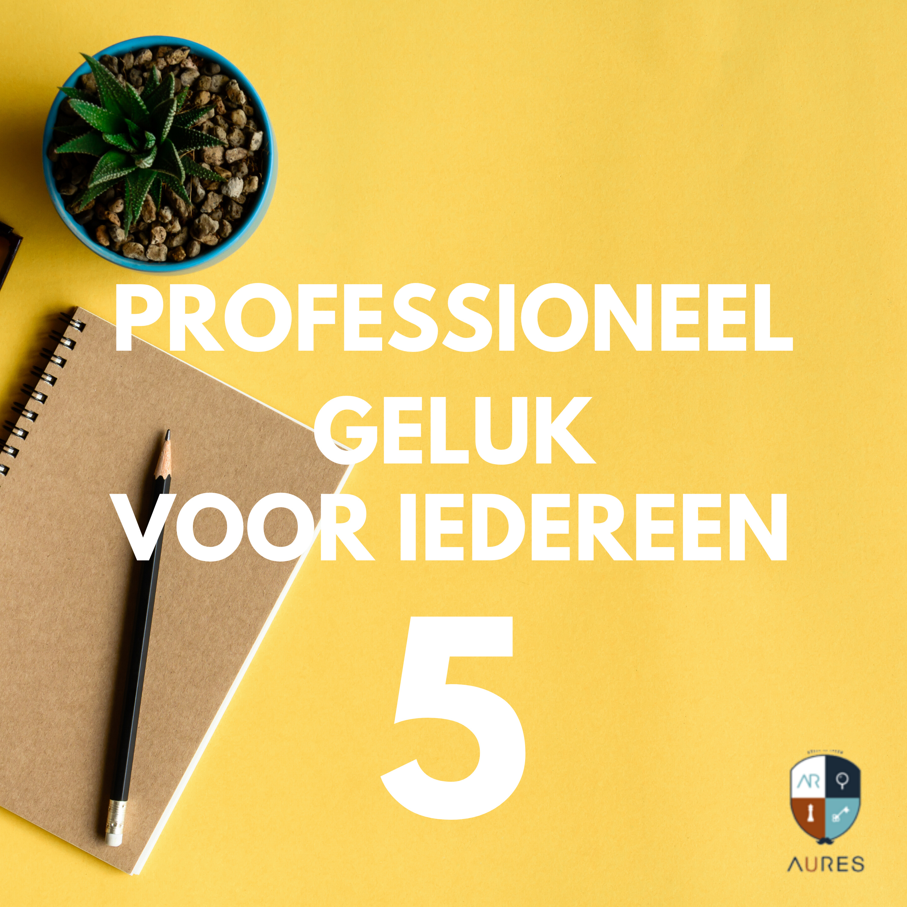 Professioneel Geluk voor Iedereen