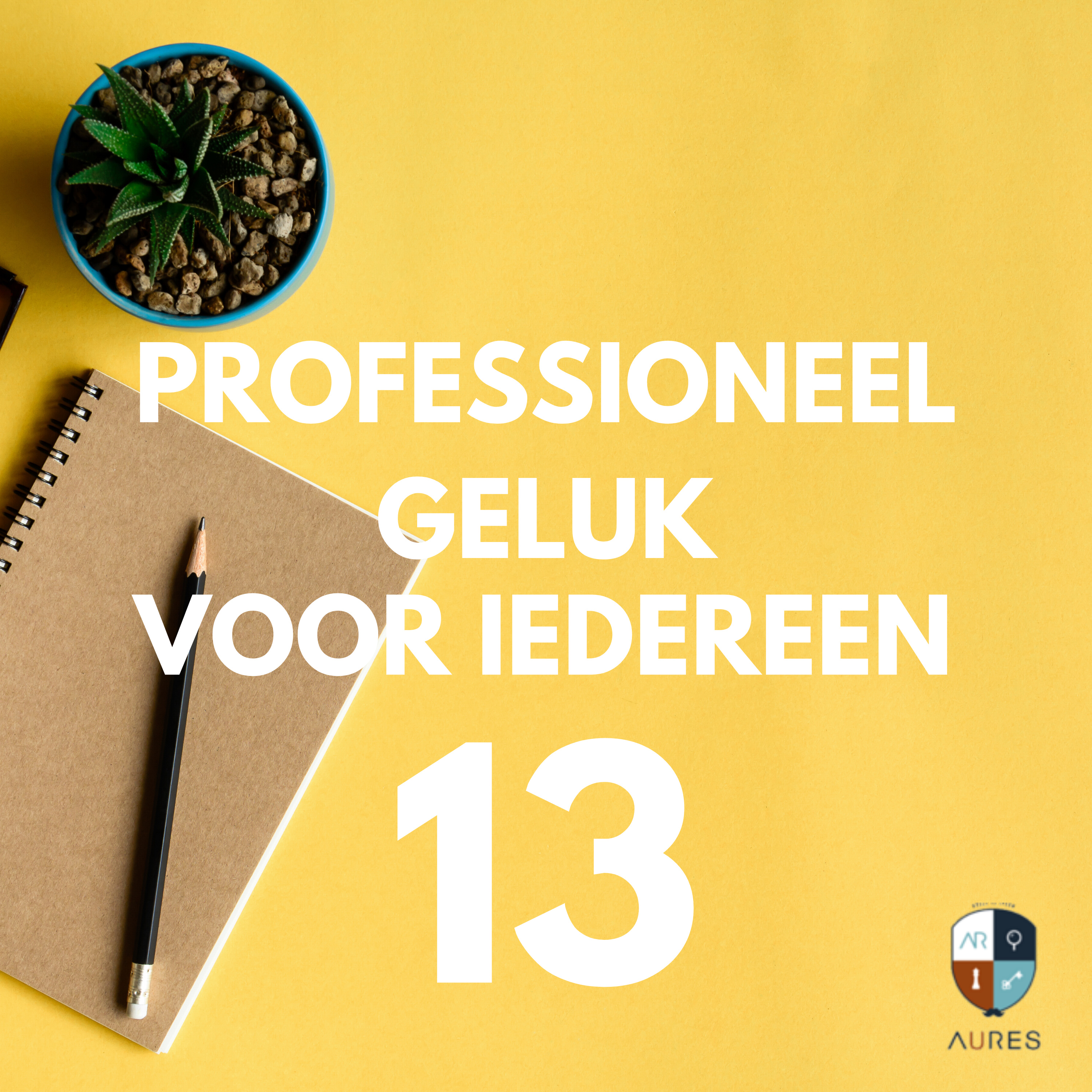 Professioneel Geluk voor Iedereen
