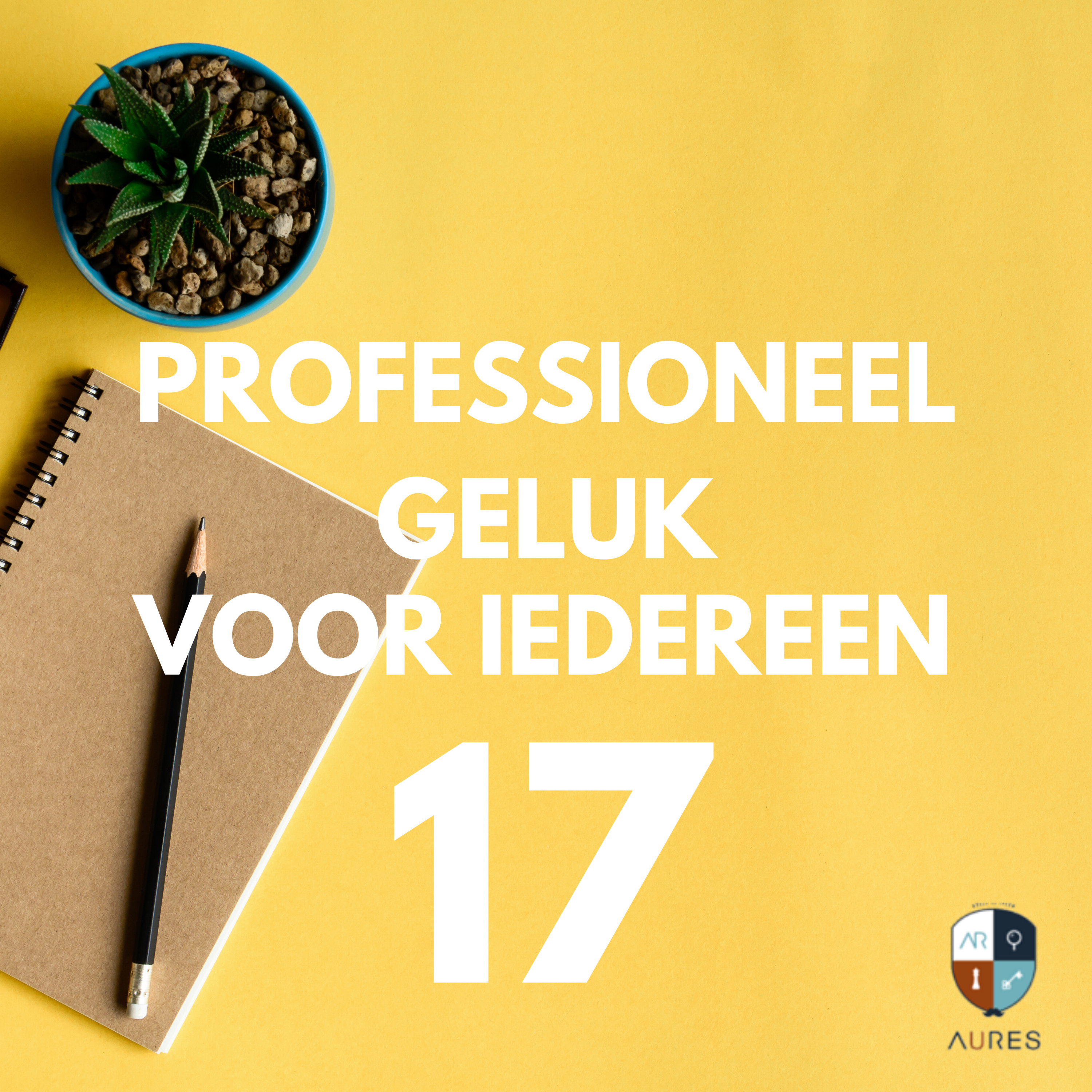 Professioneel Geluk voor Iedereen
