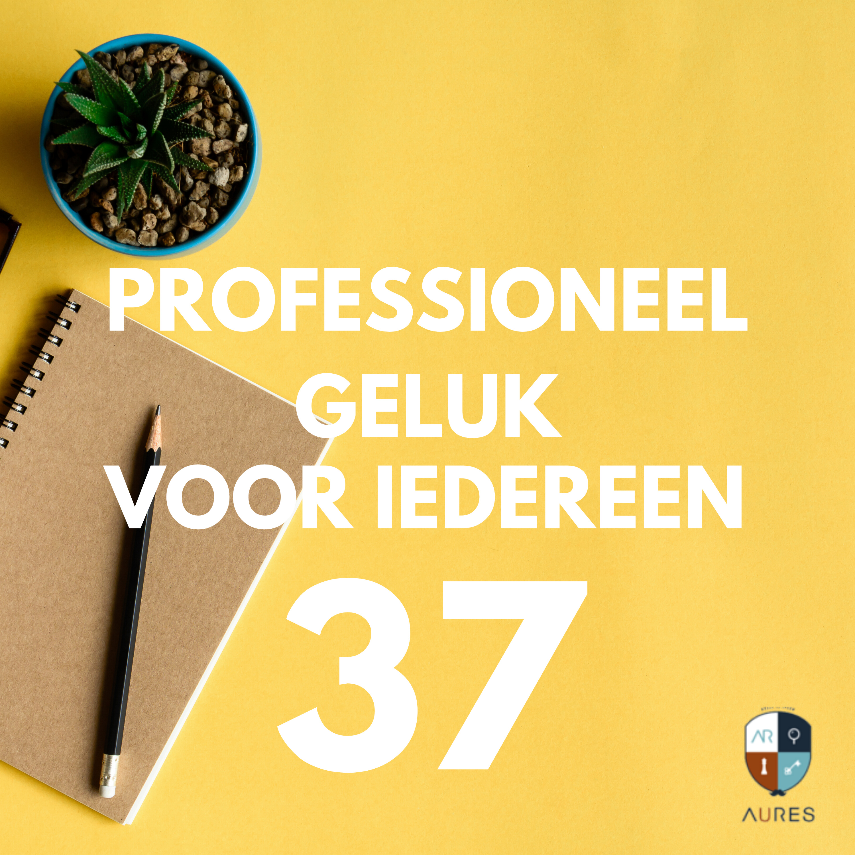 Professioneel Geluk voor Iedereen