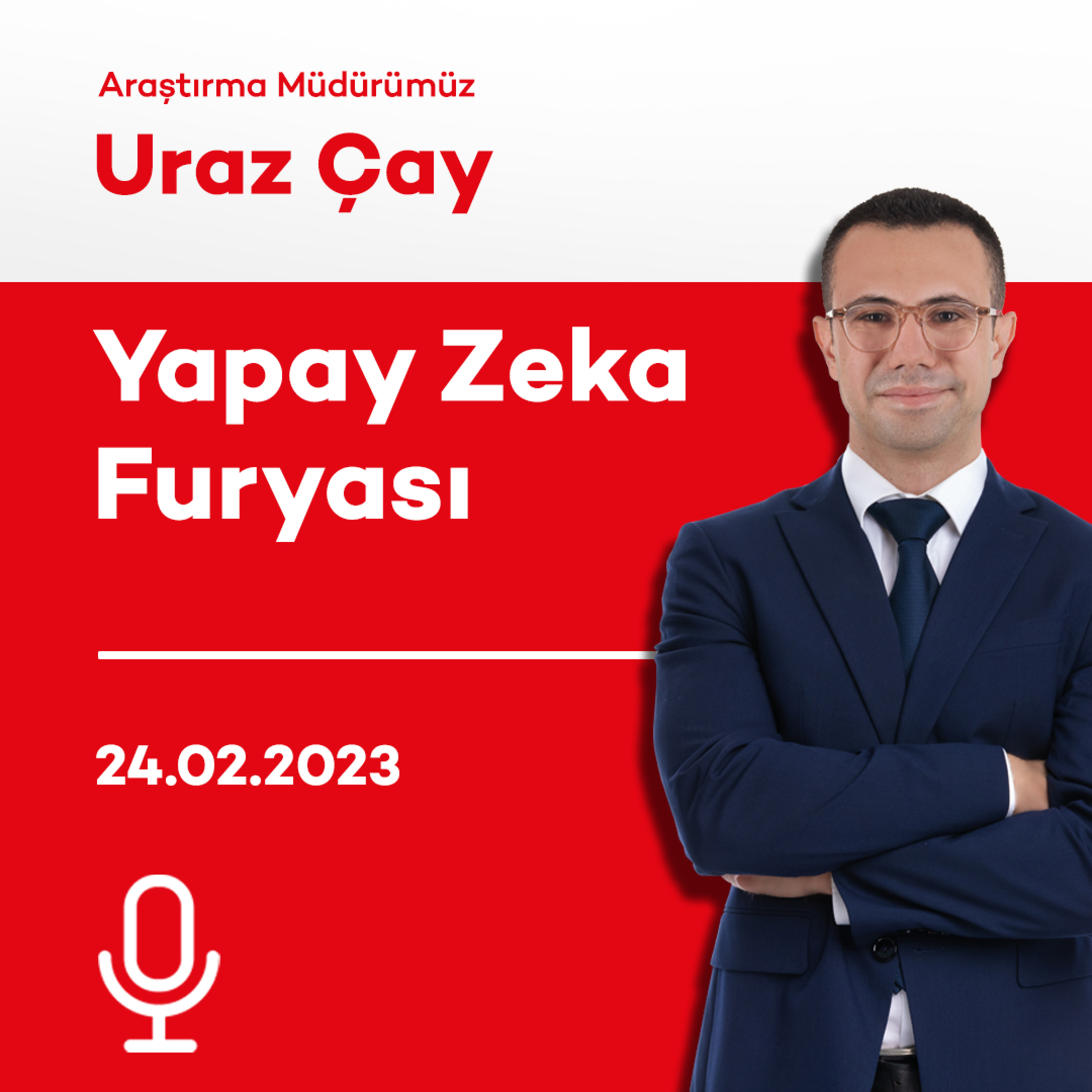 Yapay Zeka Furyası episode artwork